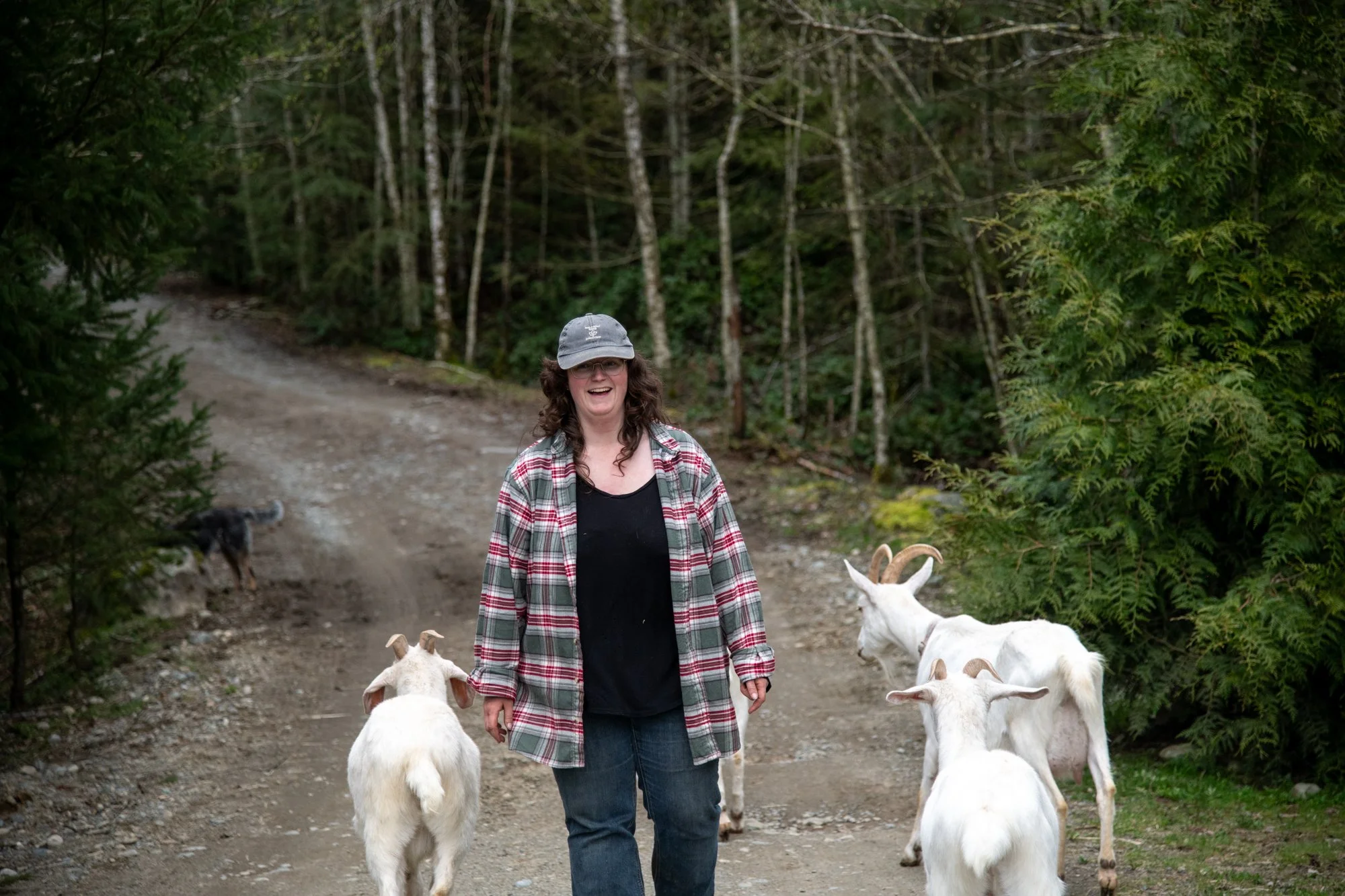 mapleheartranch-goats-150.jpg