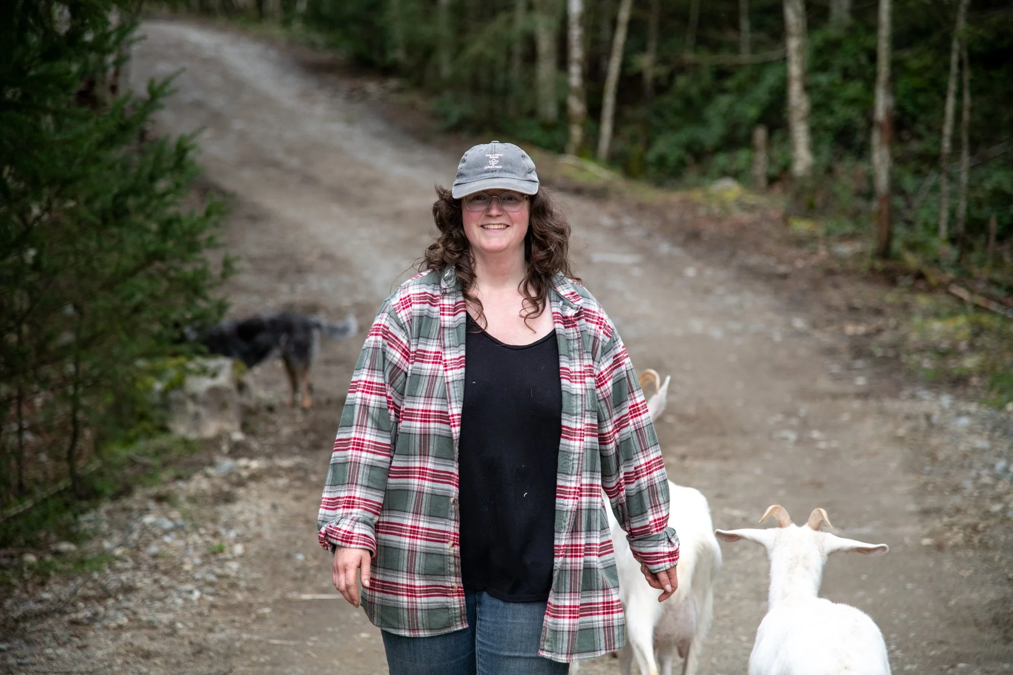 mapleheartranch-goats-151.jpg