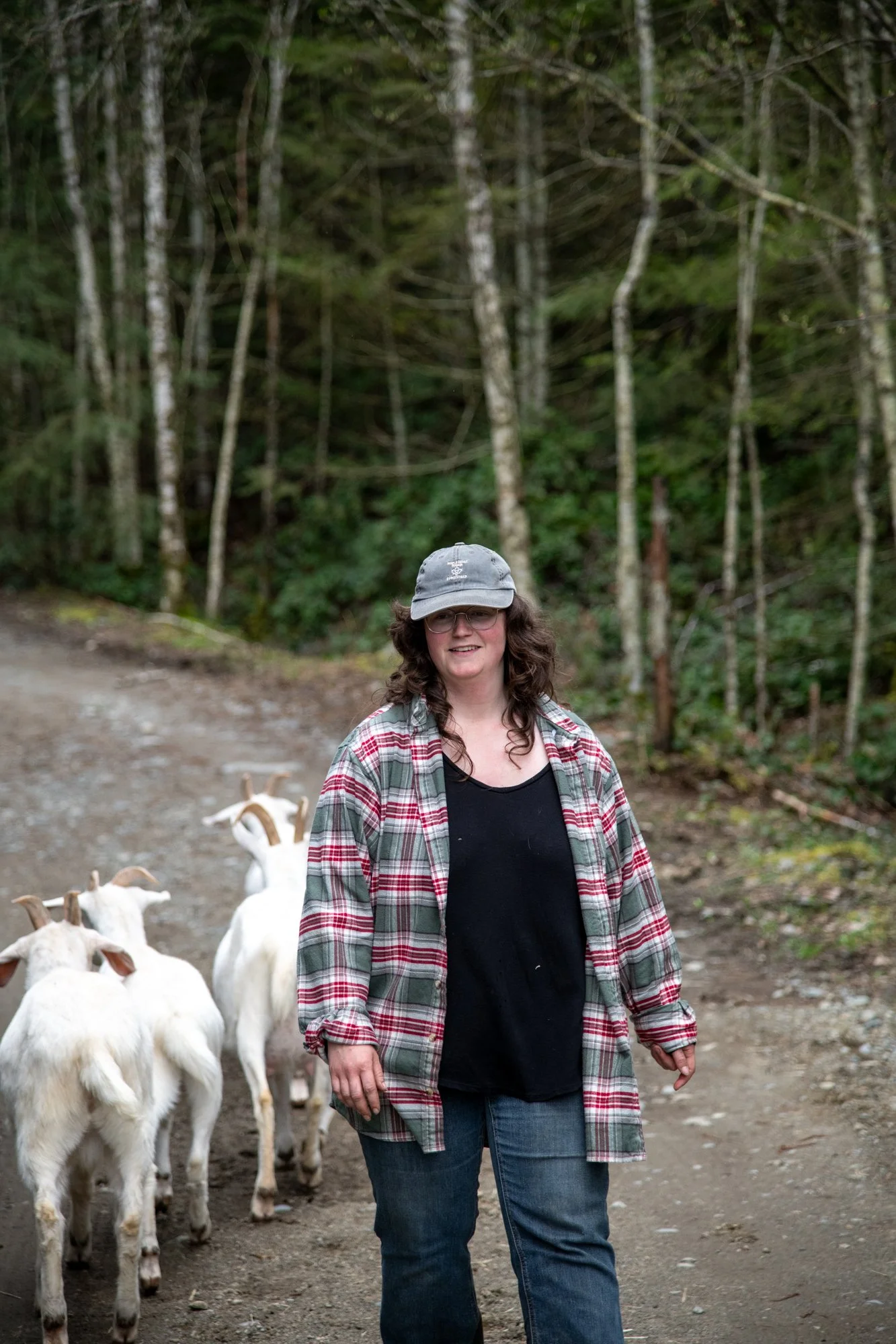 mapleheartranch-goats-152.jpg