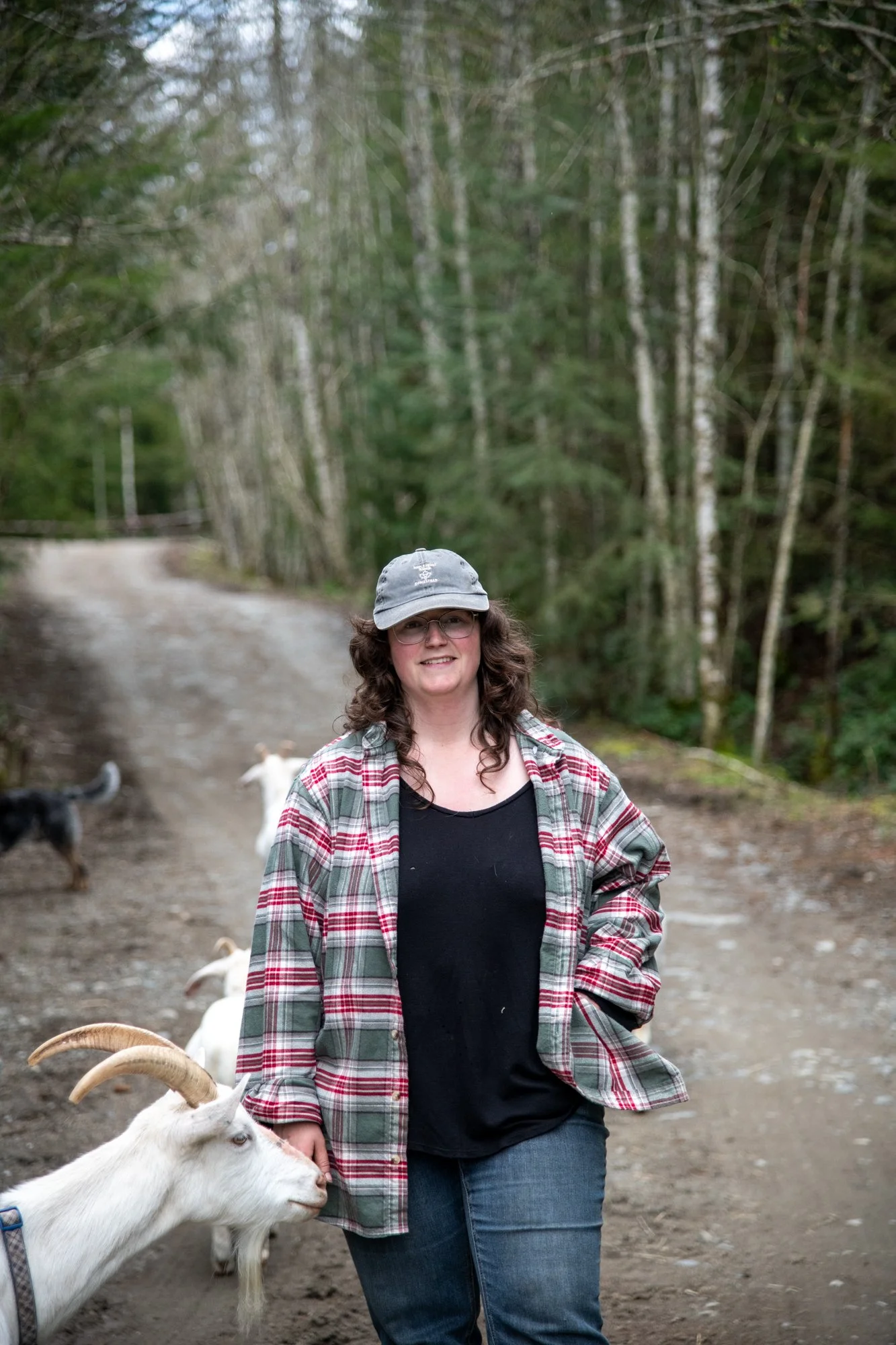 mapleheartranch-goats-153.jpg