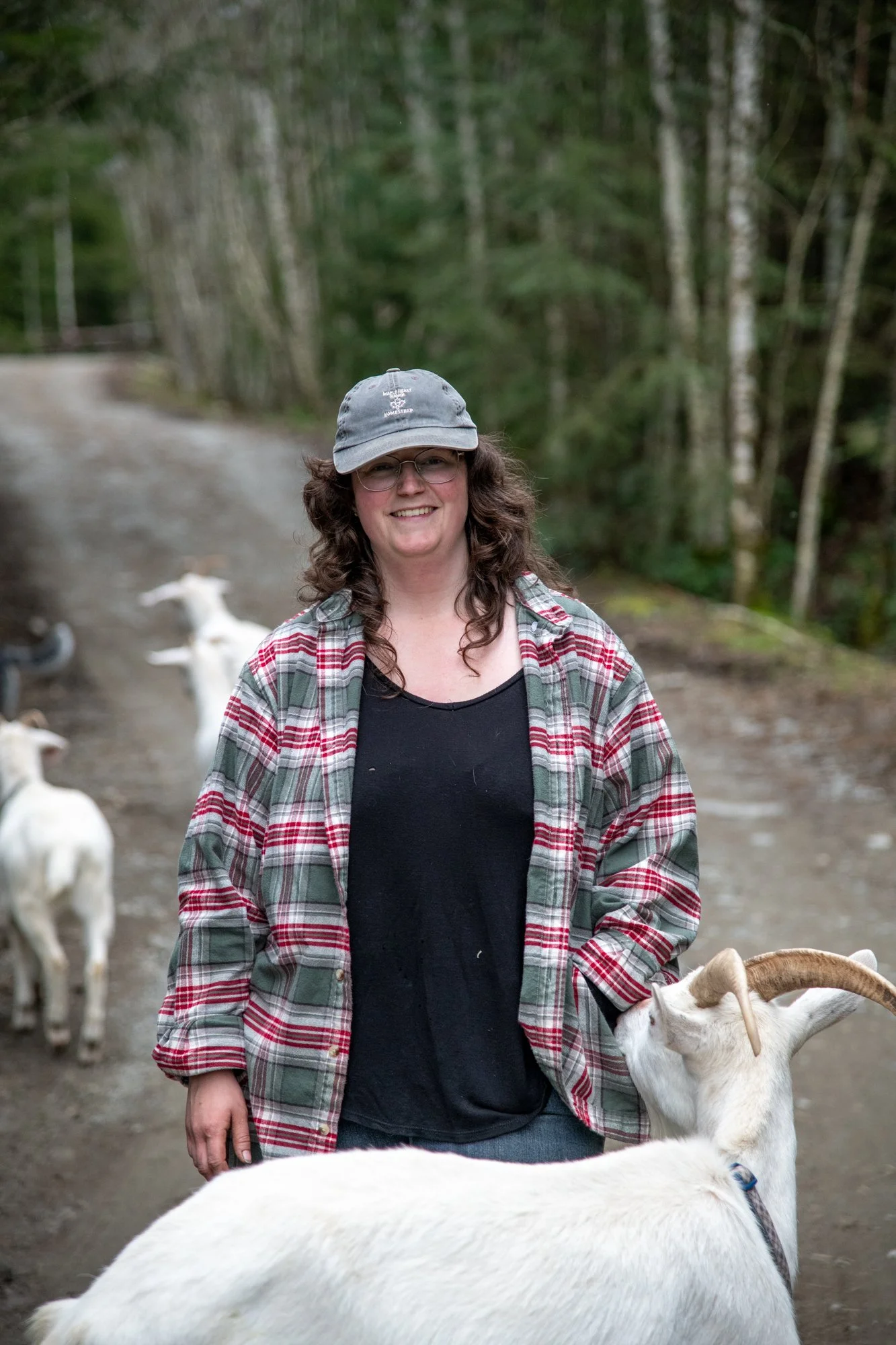 mapleheartranch-goats-154.jpg
