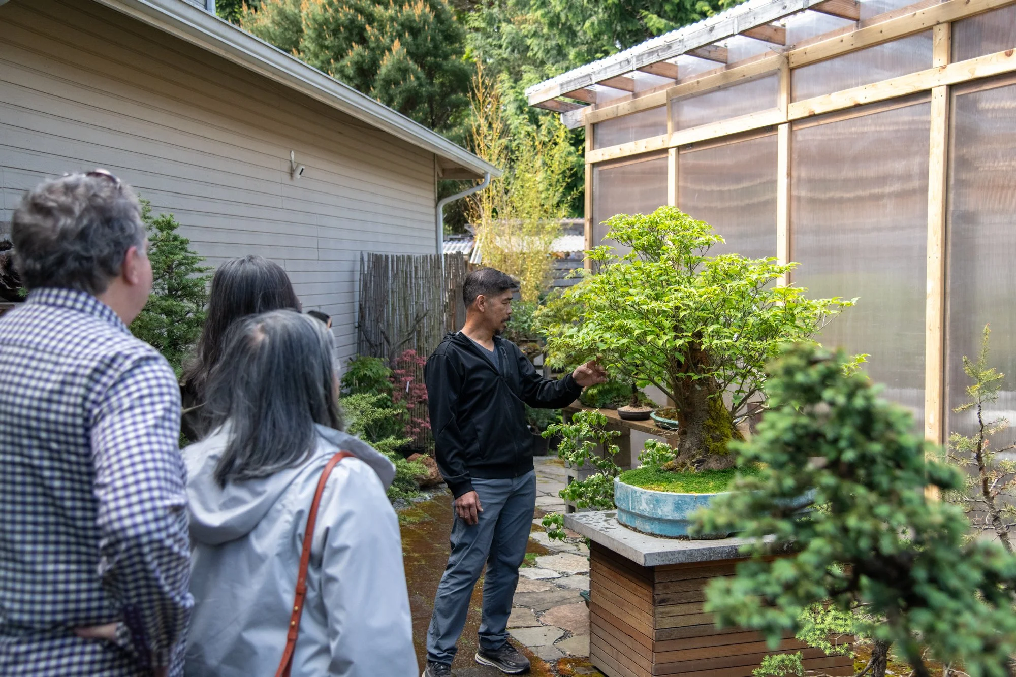 bonsai-015.jpg