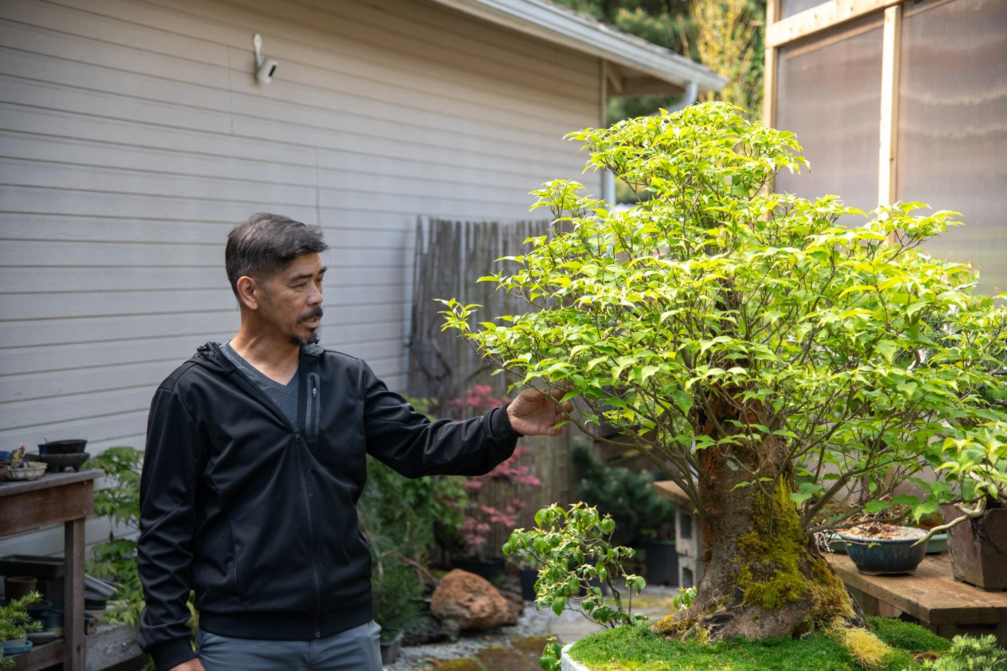 bonsai-016.jpg