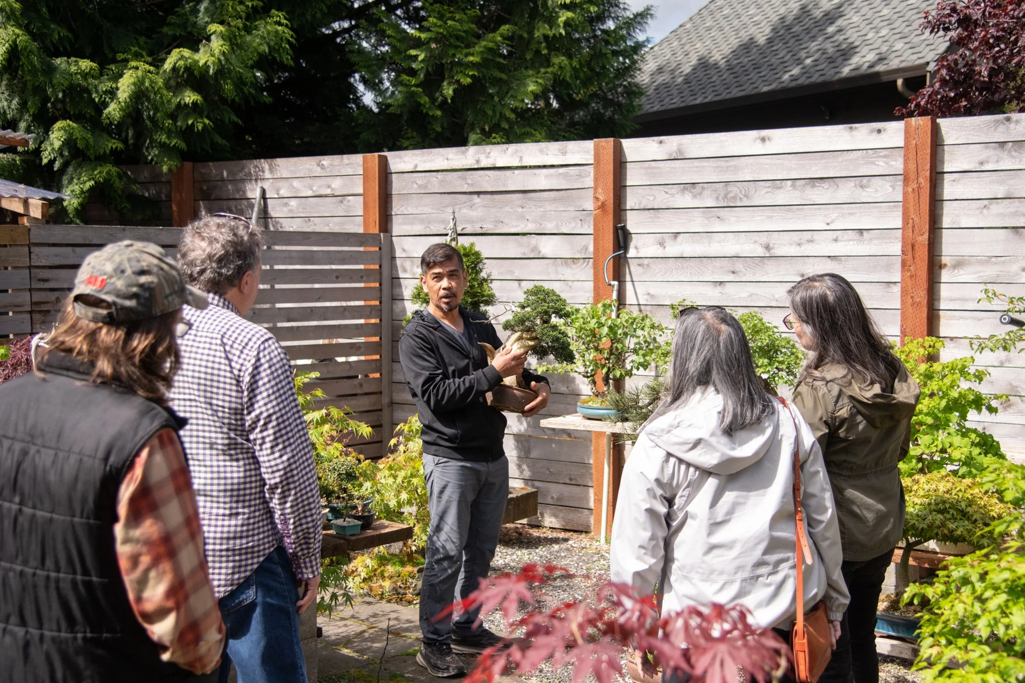 bonsai-019.jpg