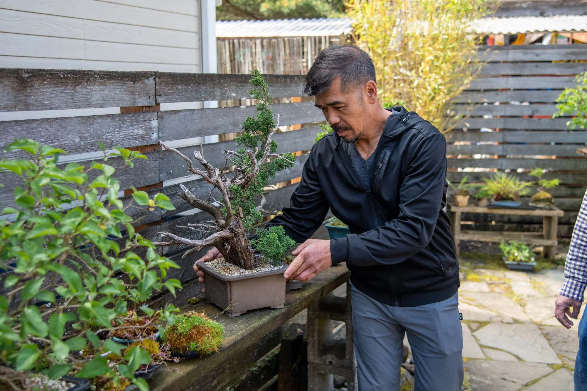 bonsai-024.jpg