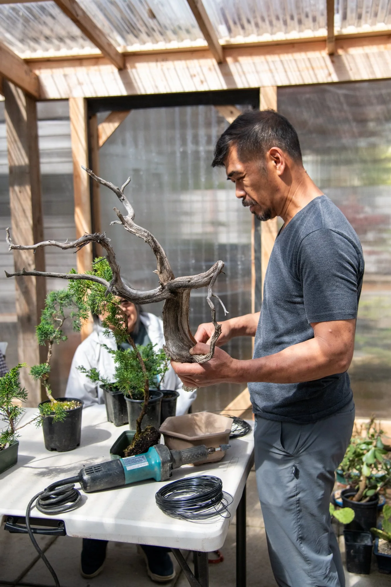 bonsai-034.jpg