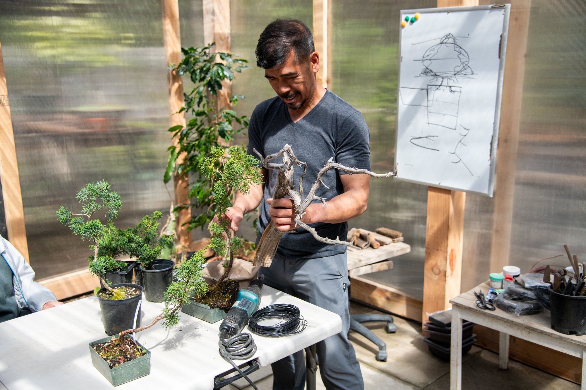 bonsai-035.jpg