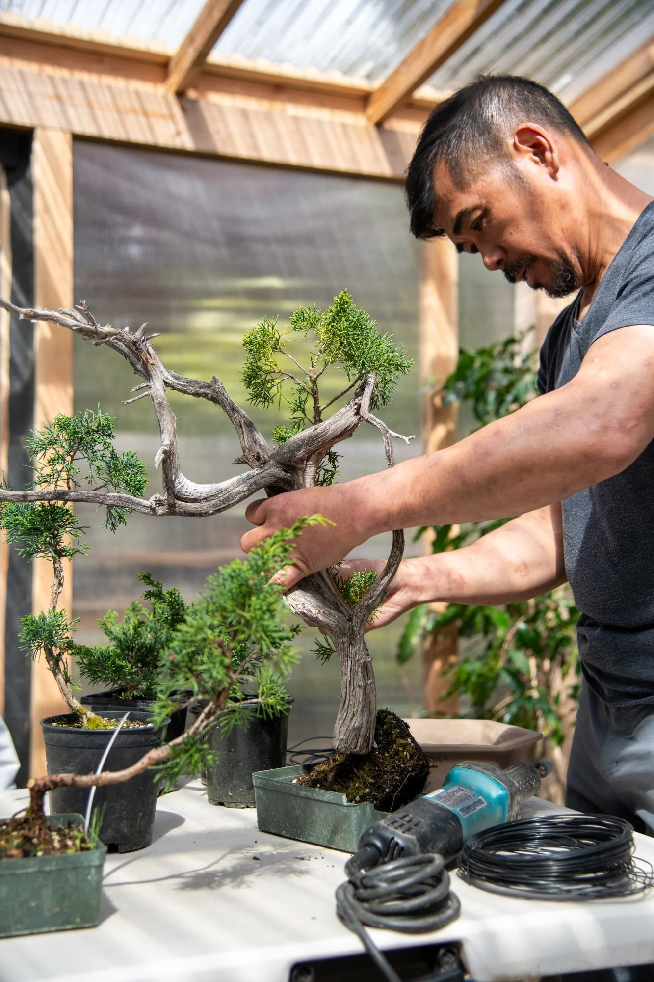 bonsai-038.jpg