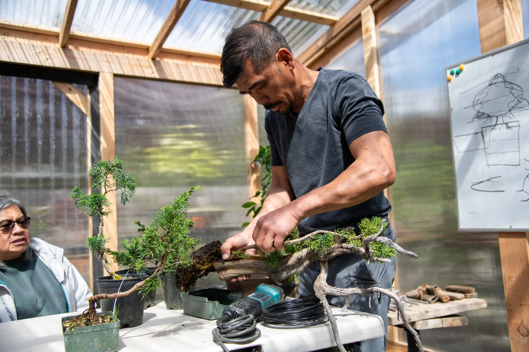 bonsai-039.jpg