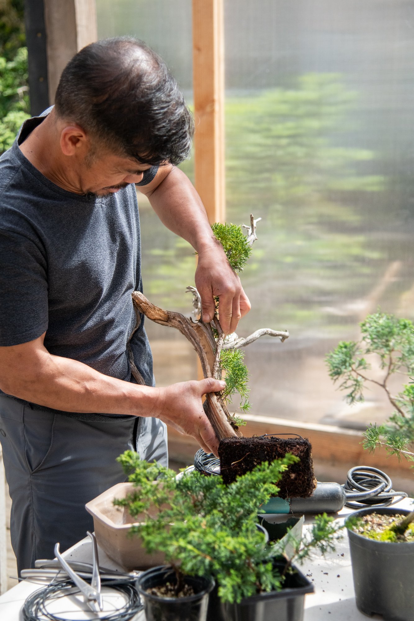 bonsai-043.jpg