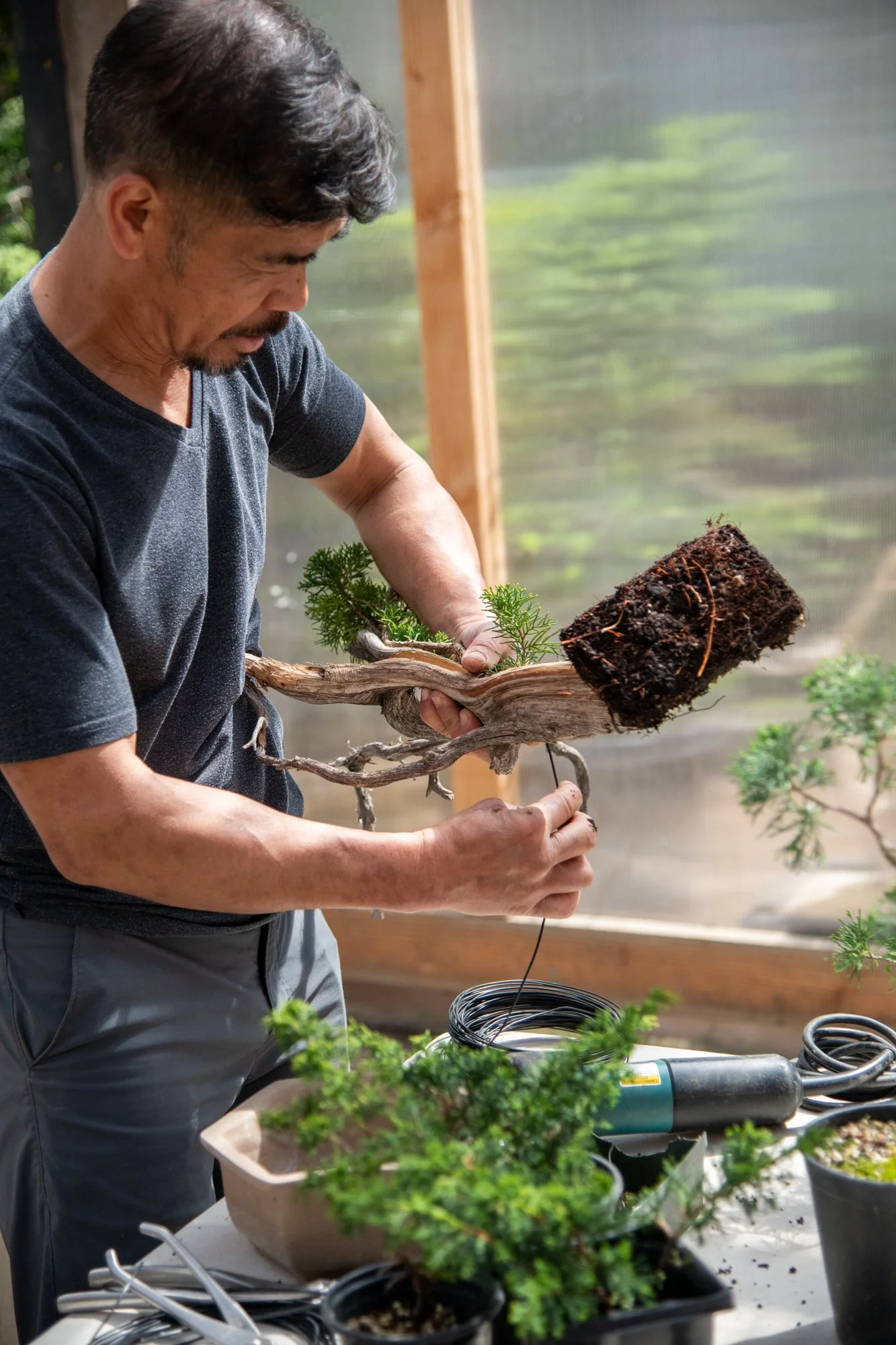 bonsai-044.jpg