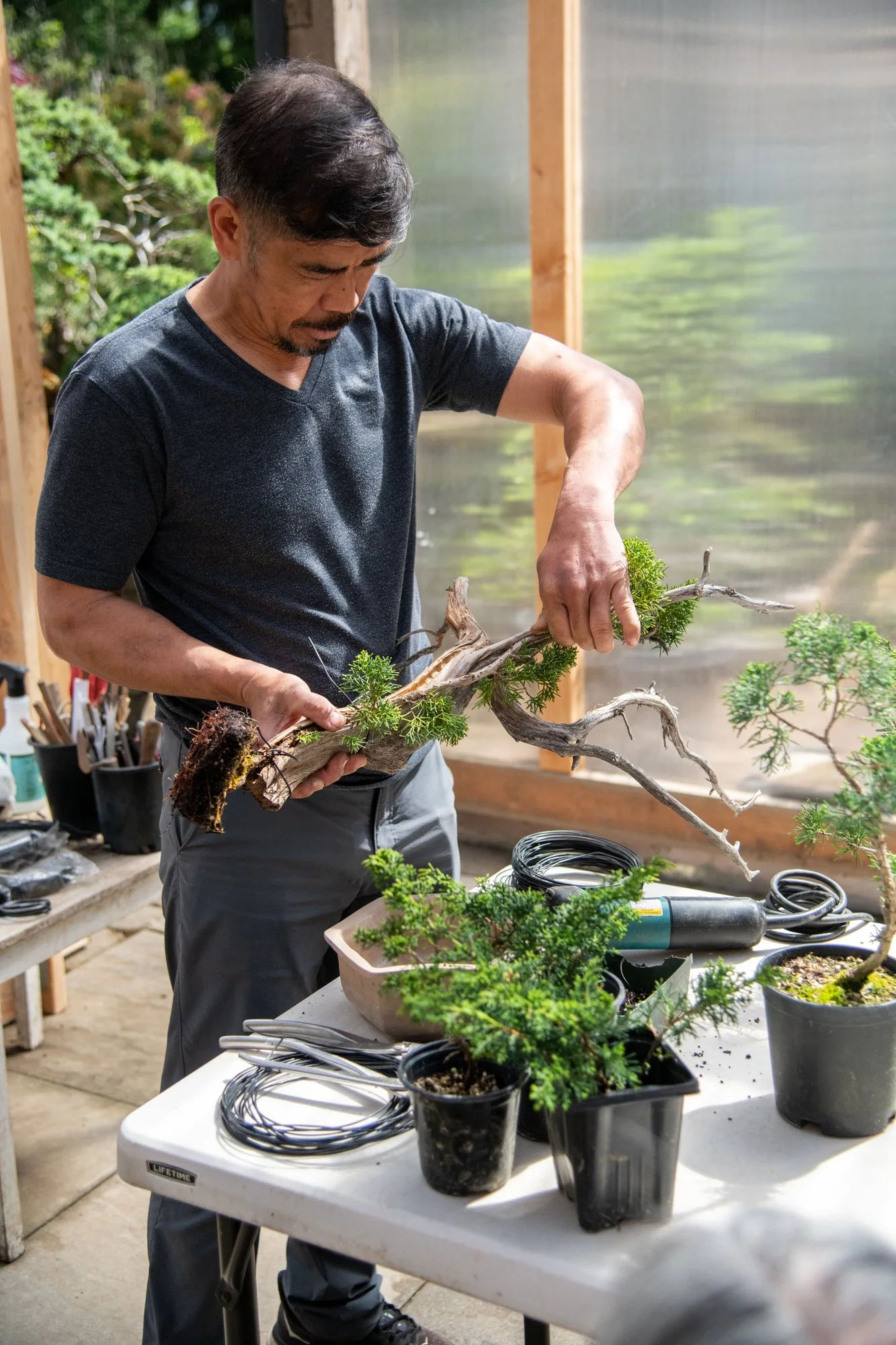 bonsai-047.jpg