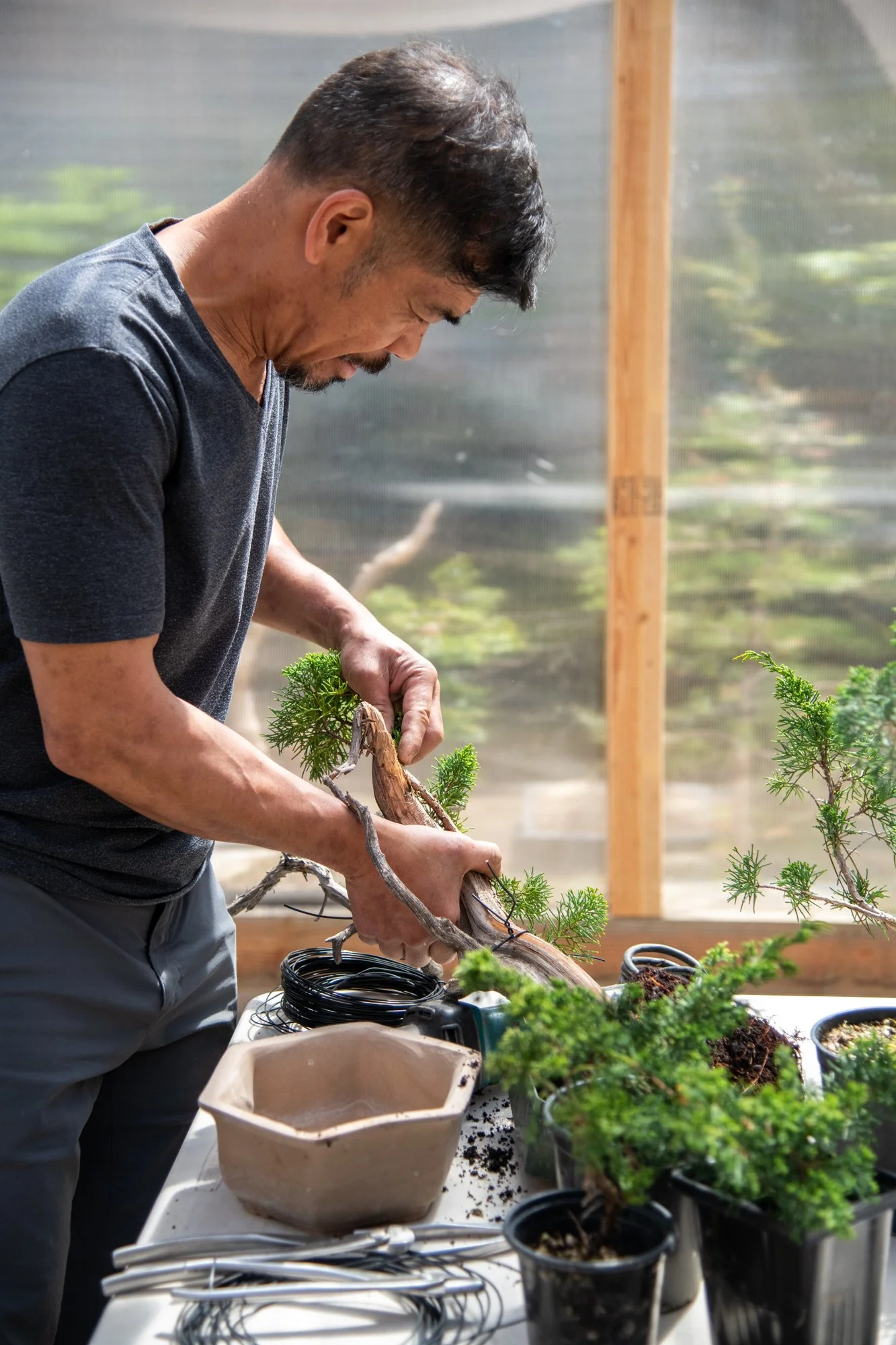 bonsai-049.jpg