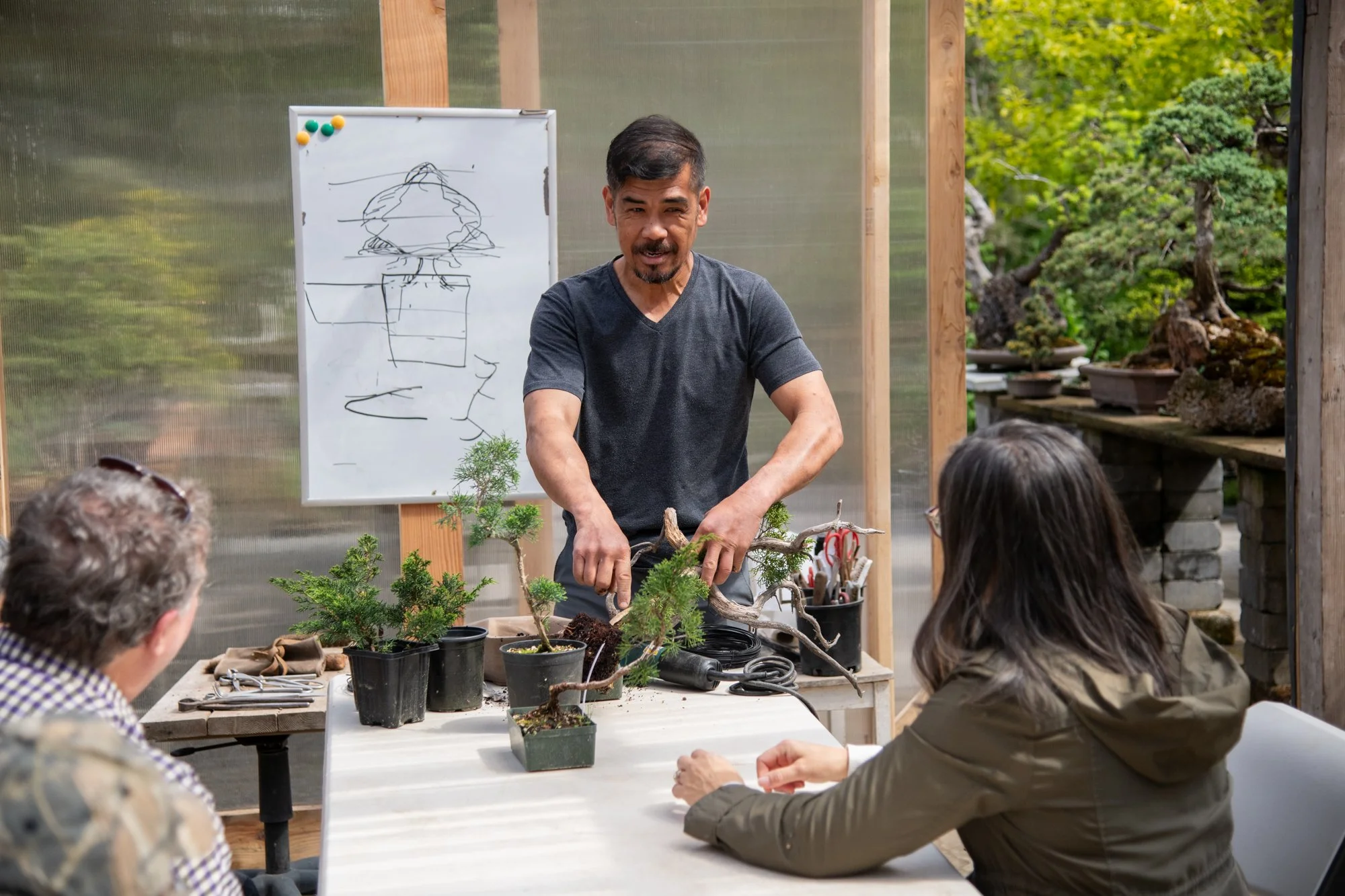 bonsai-050.jpg