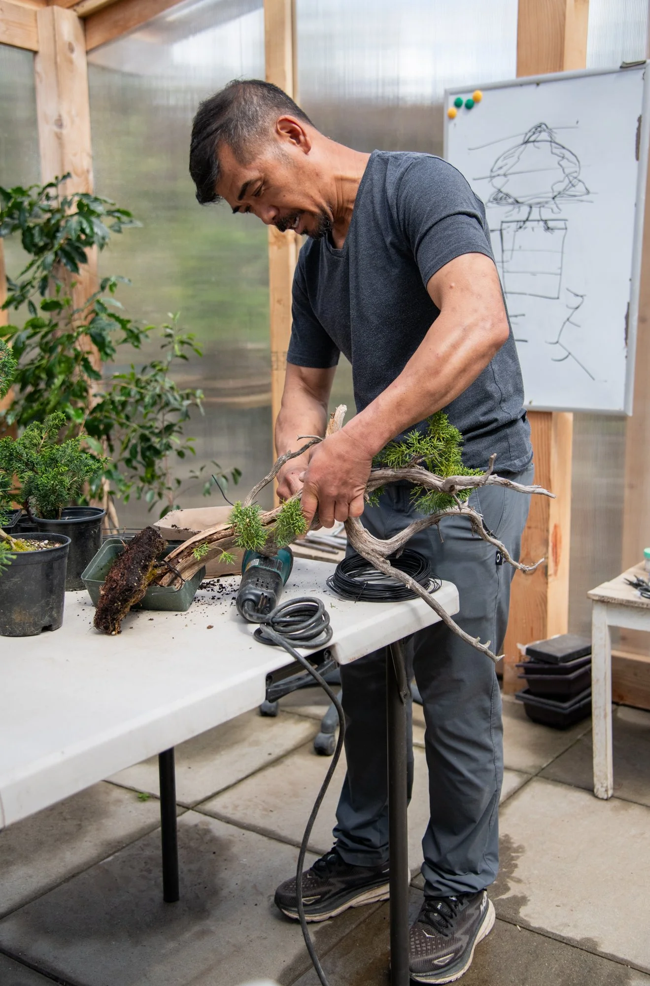 bonsai-052.jpg