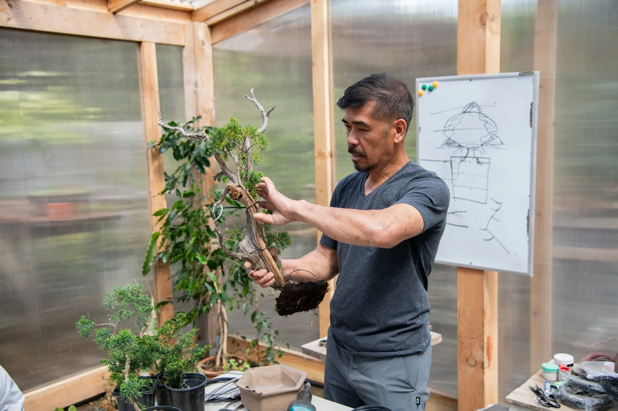 bonsai-053.jpg