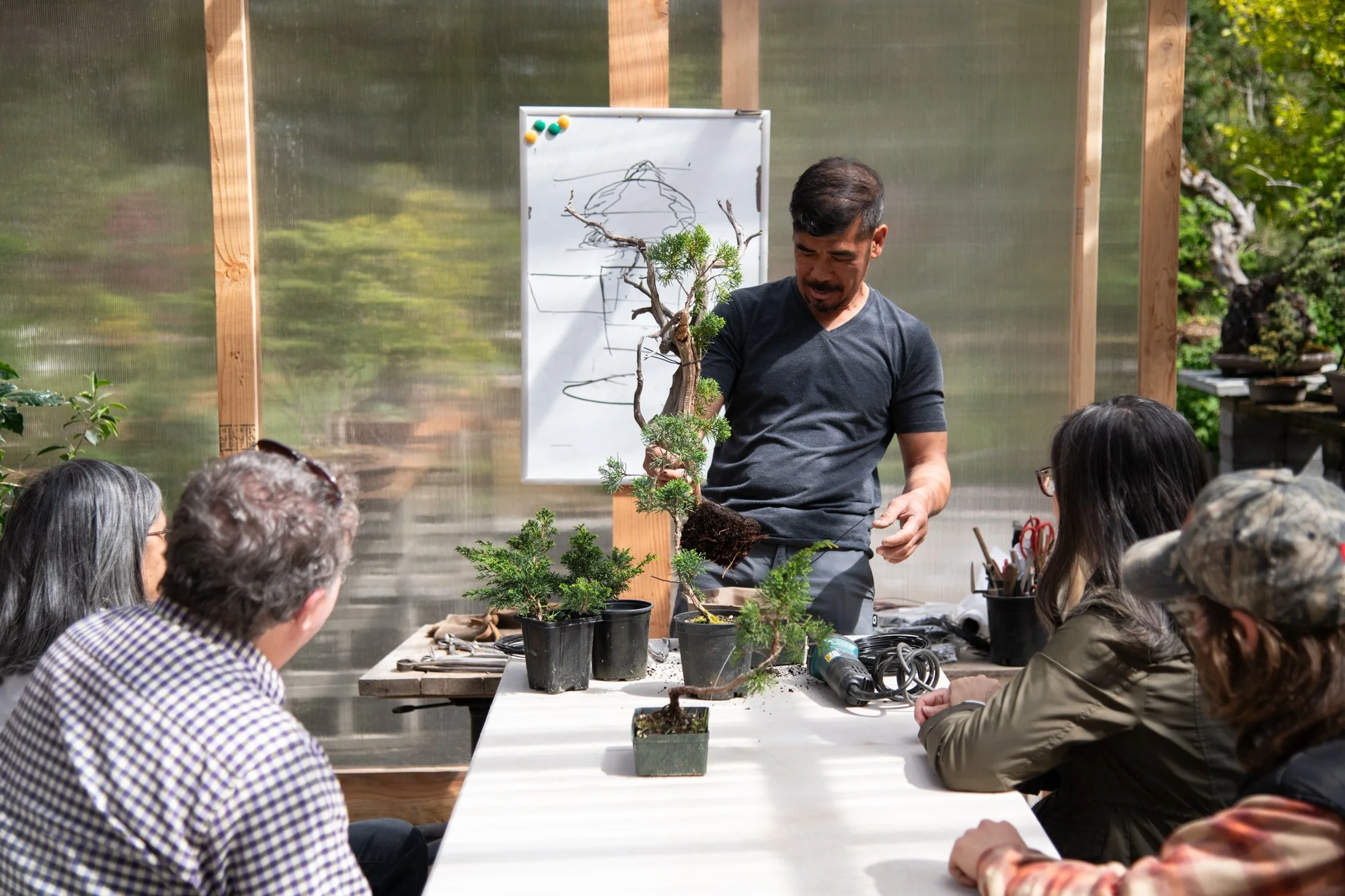 bonsai-057.jpg