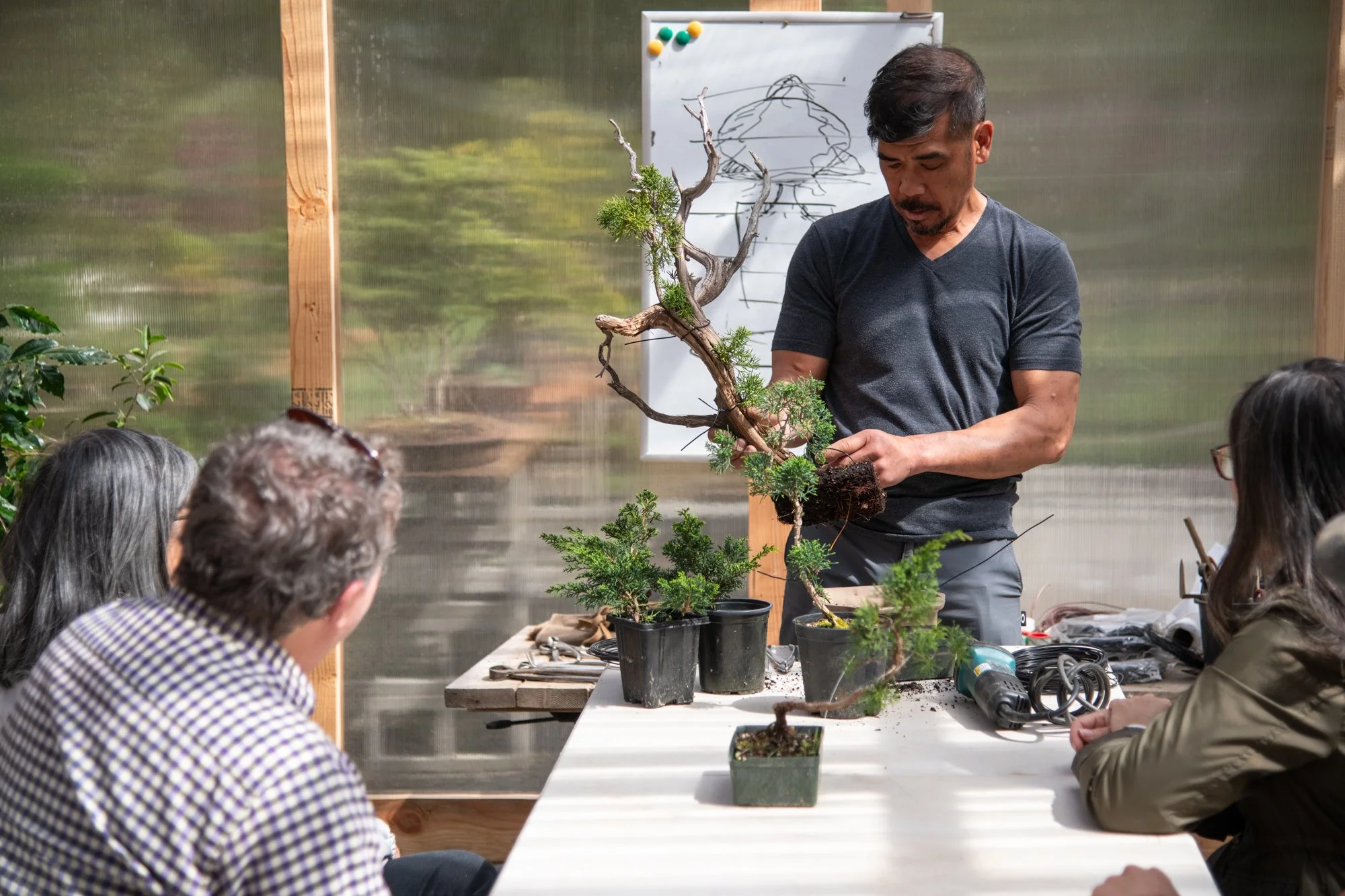 bonsai-058.jpg