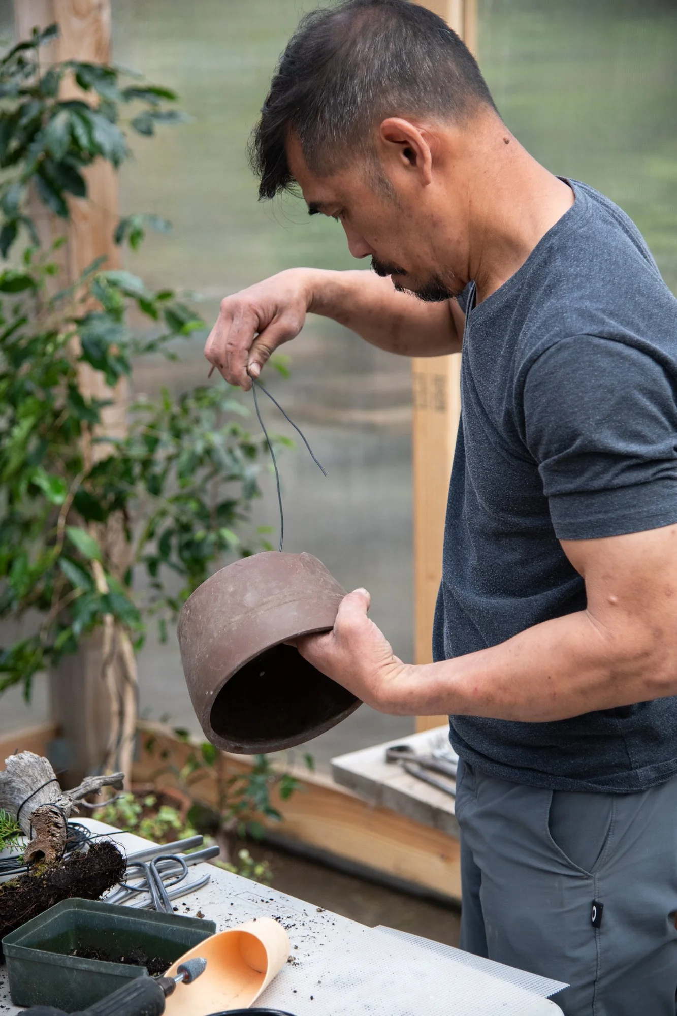bonsai-064.jpg