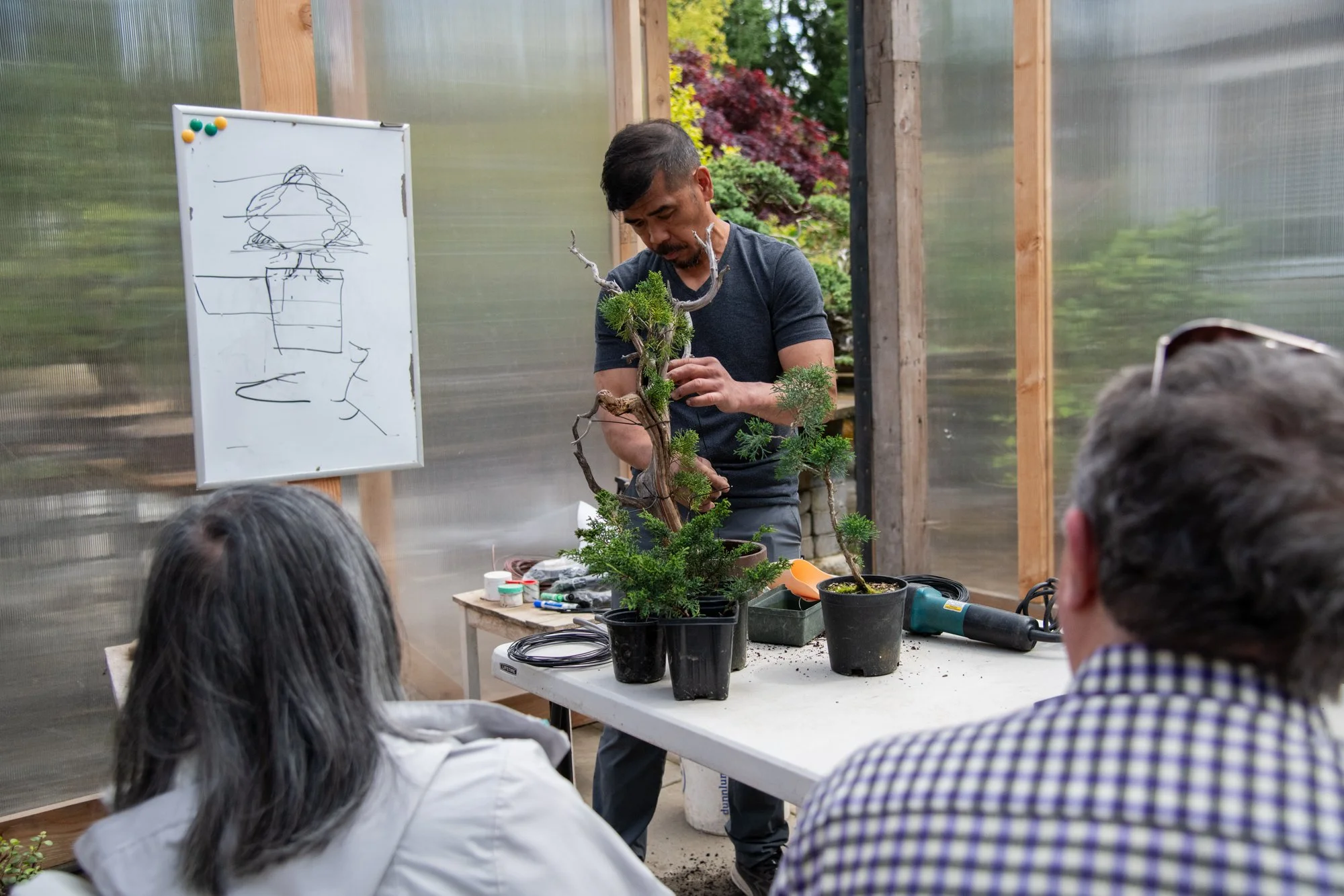 bonsai-067.jpg