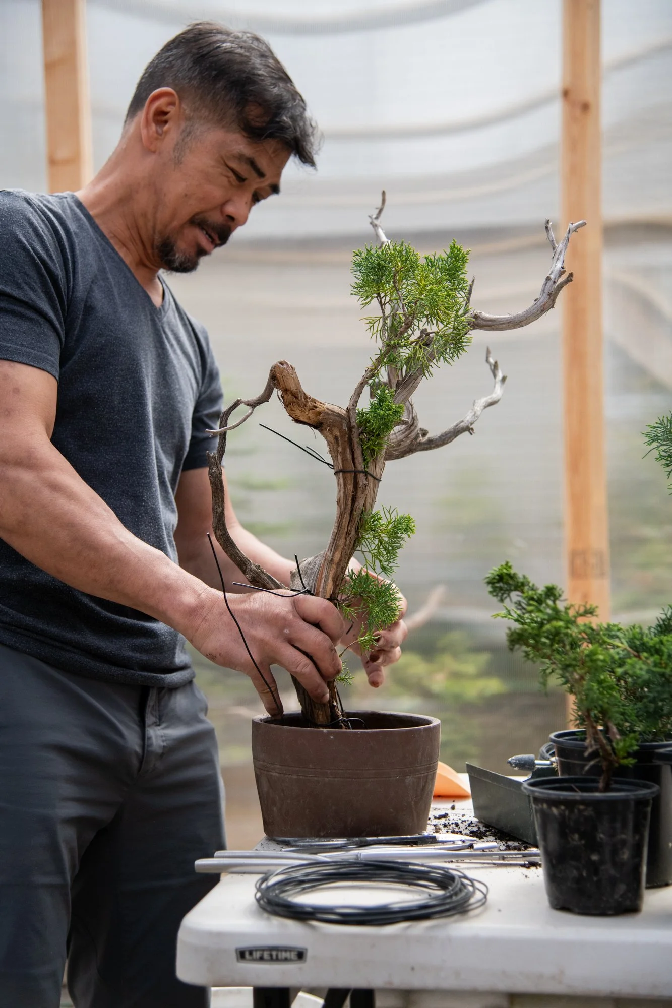 bonsai-069.jpg