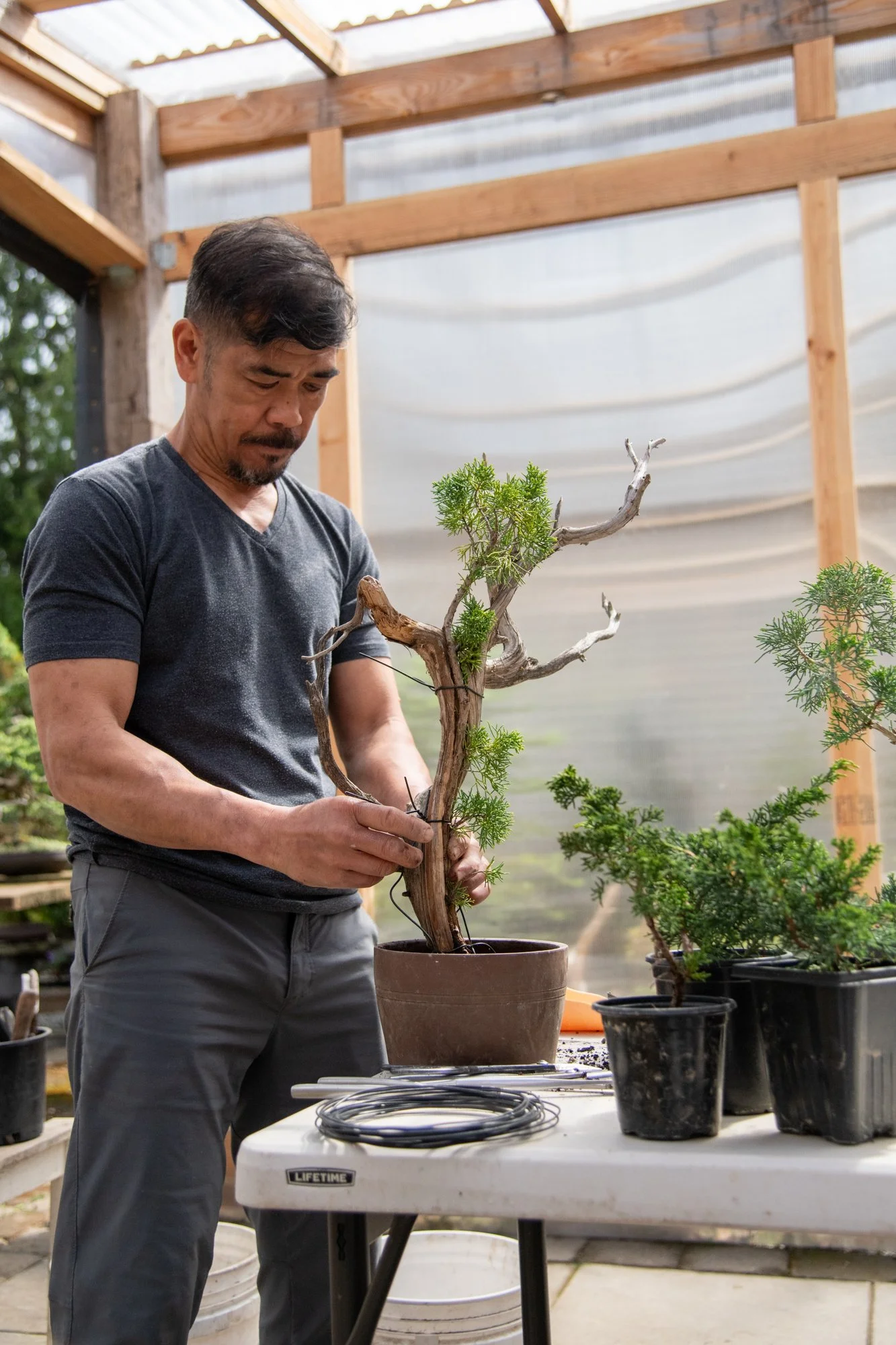 bonsai-070.jpg