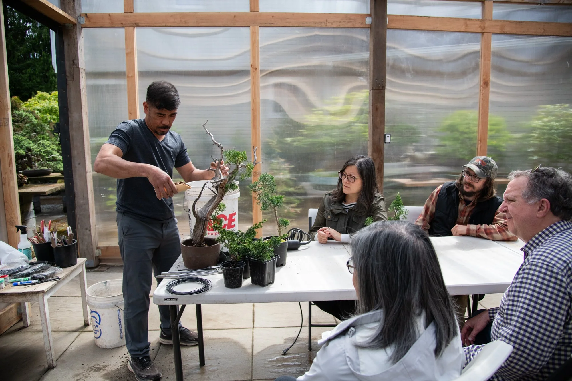 bonsai-071.jpg