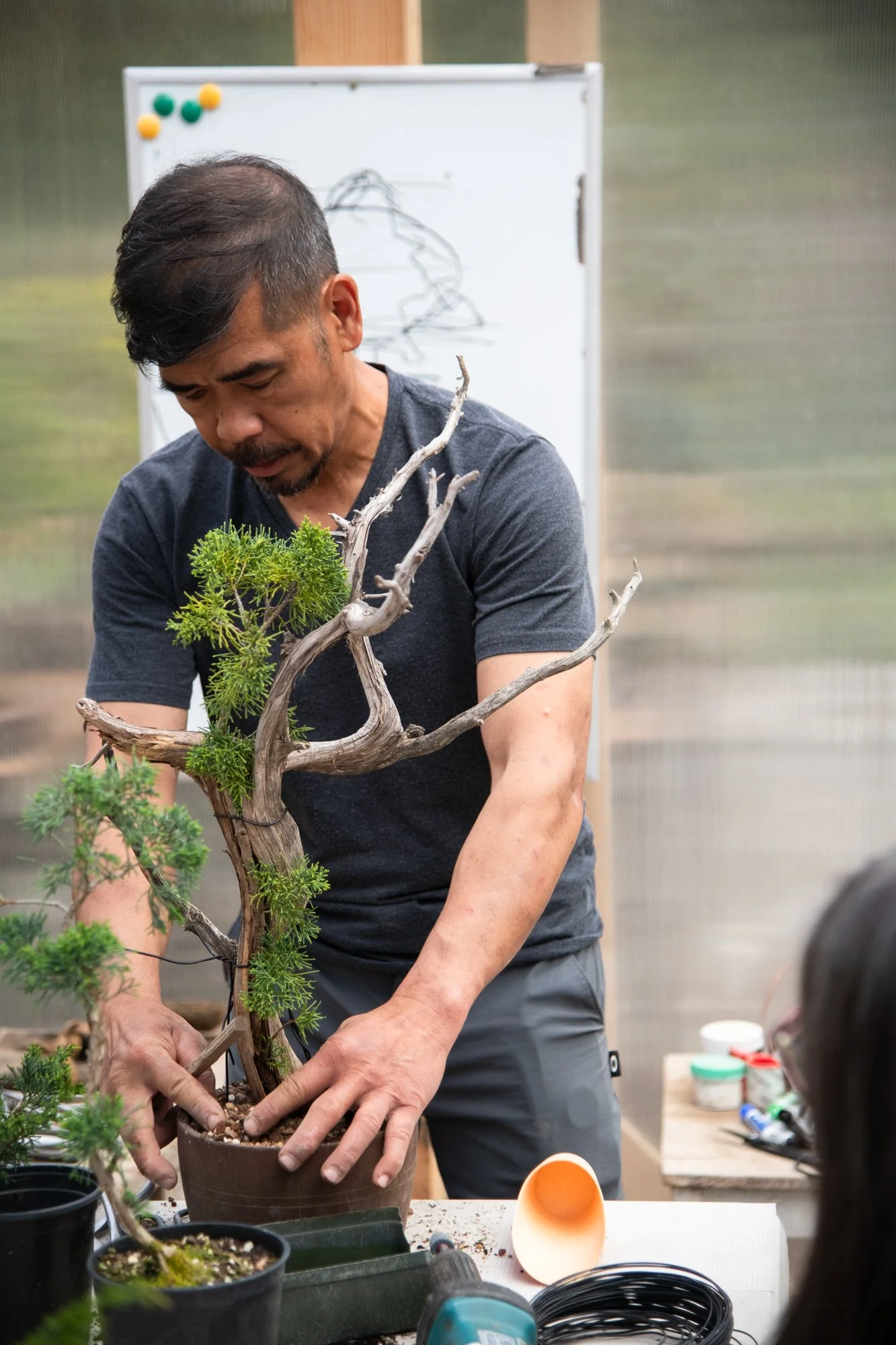 bonsai-074.jpg