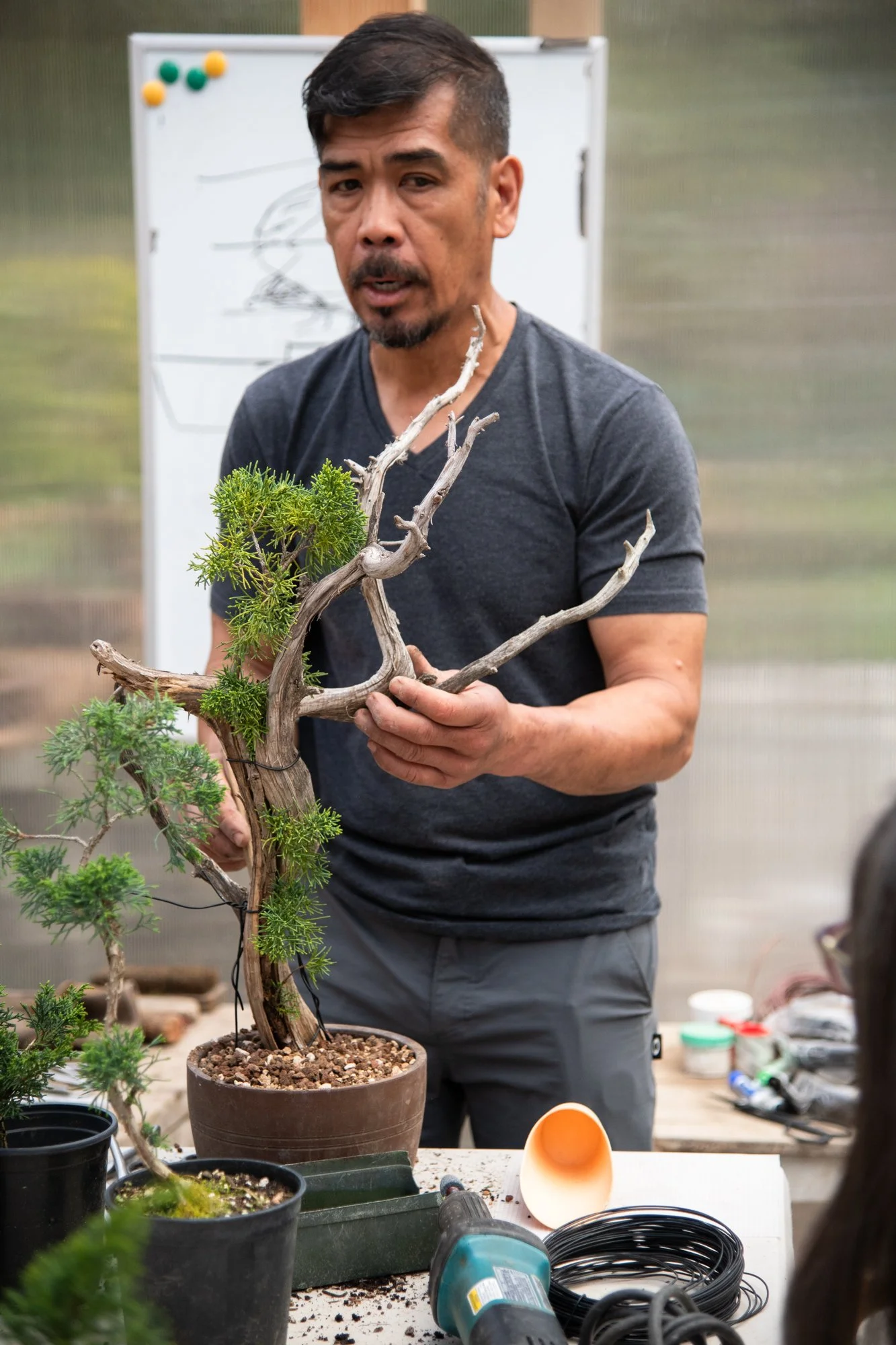 bonsai-075.jpg