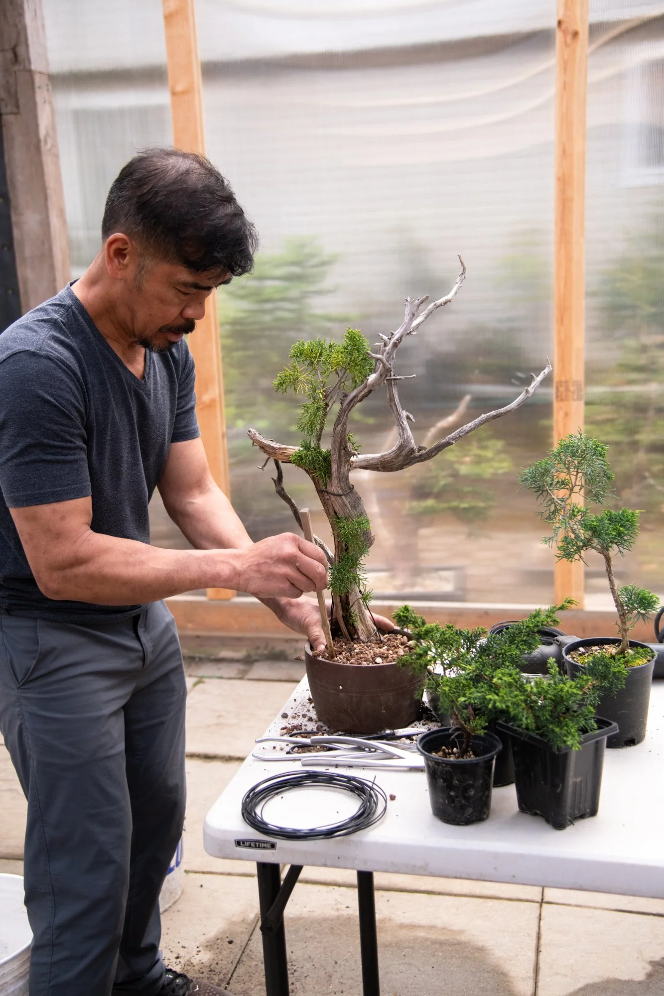 bonsai-077.jpg
