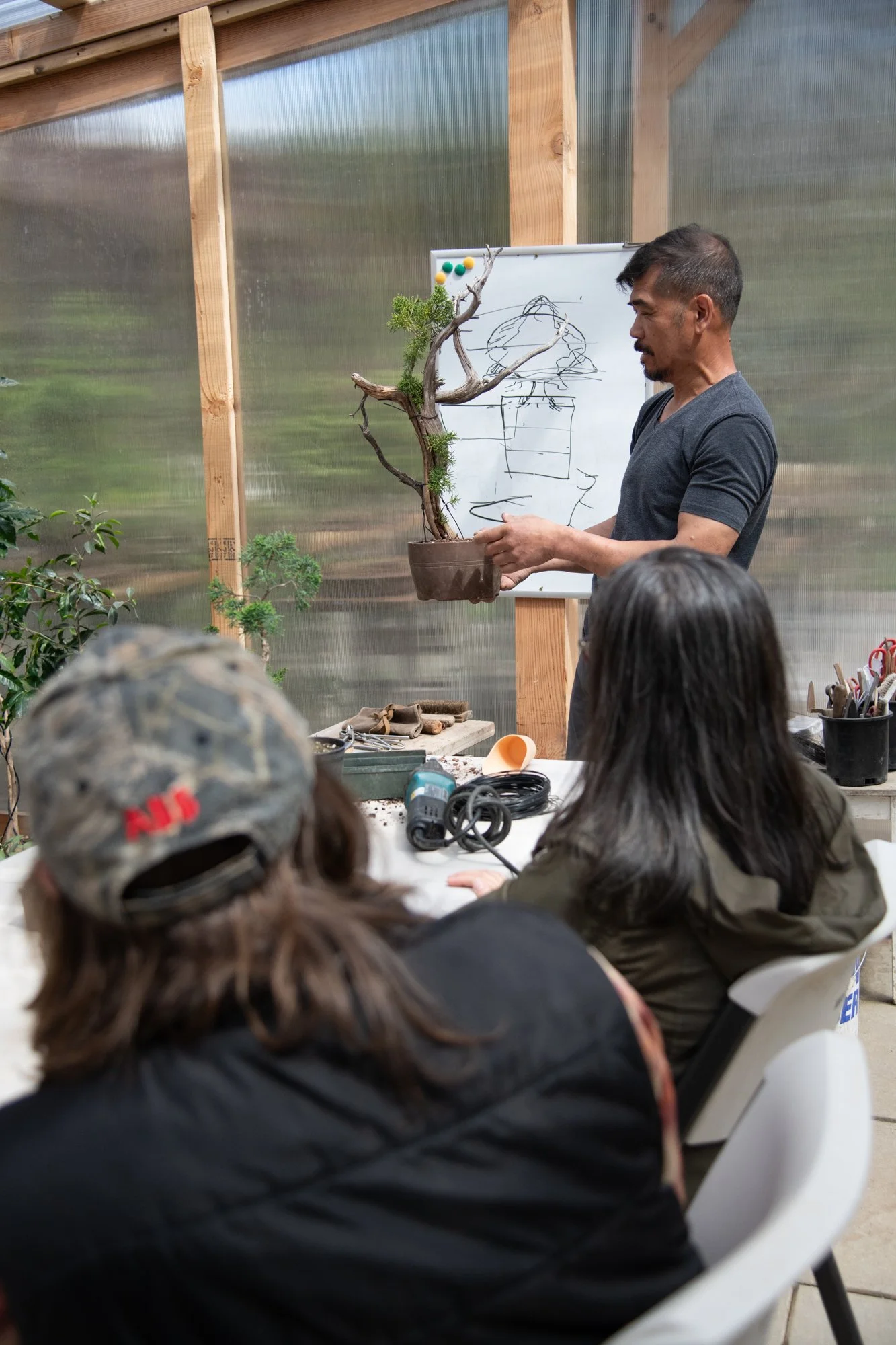 bonsai-079.jpg