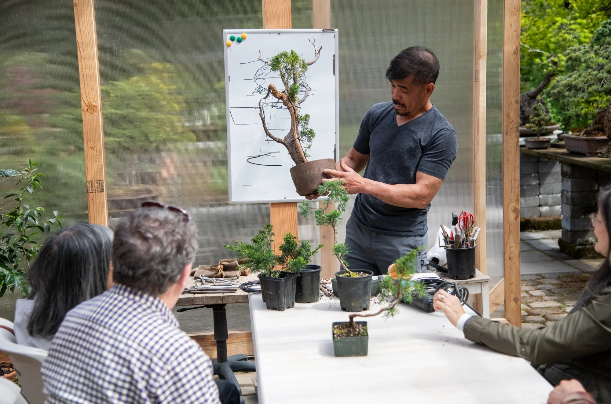 bonsai-080.jpg