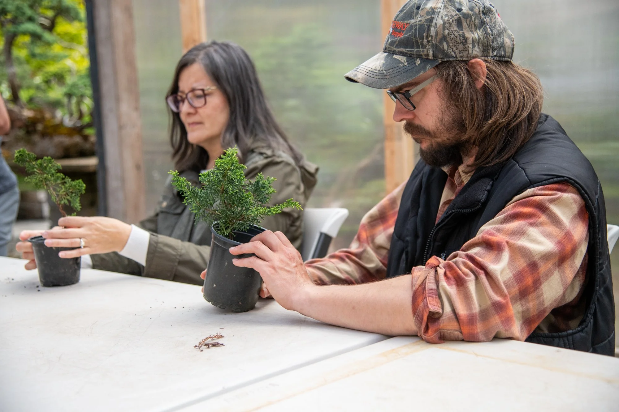 bonsai-086.jpg