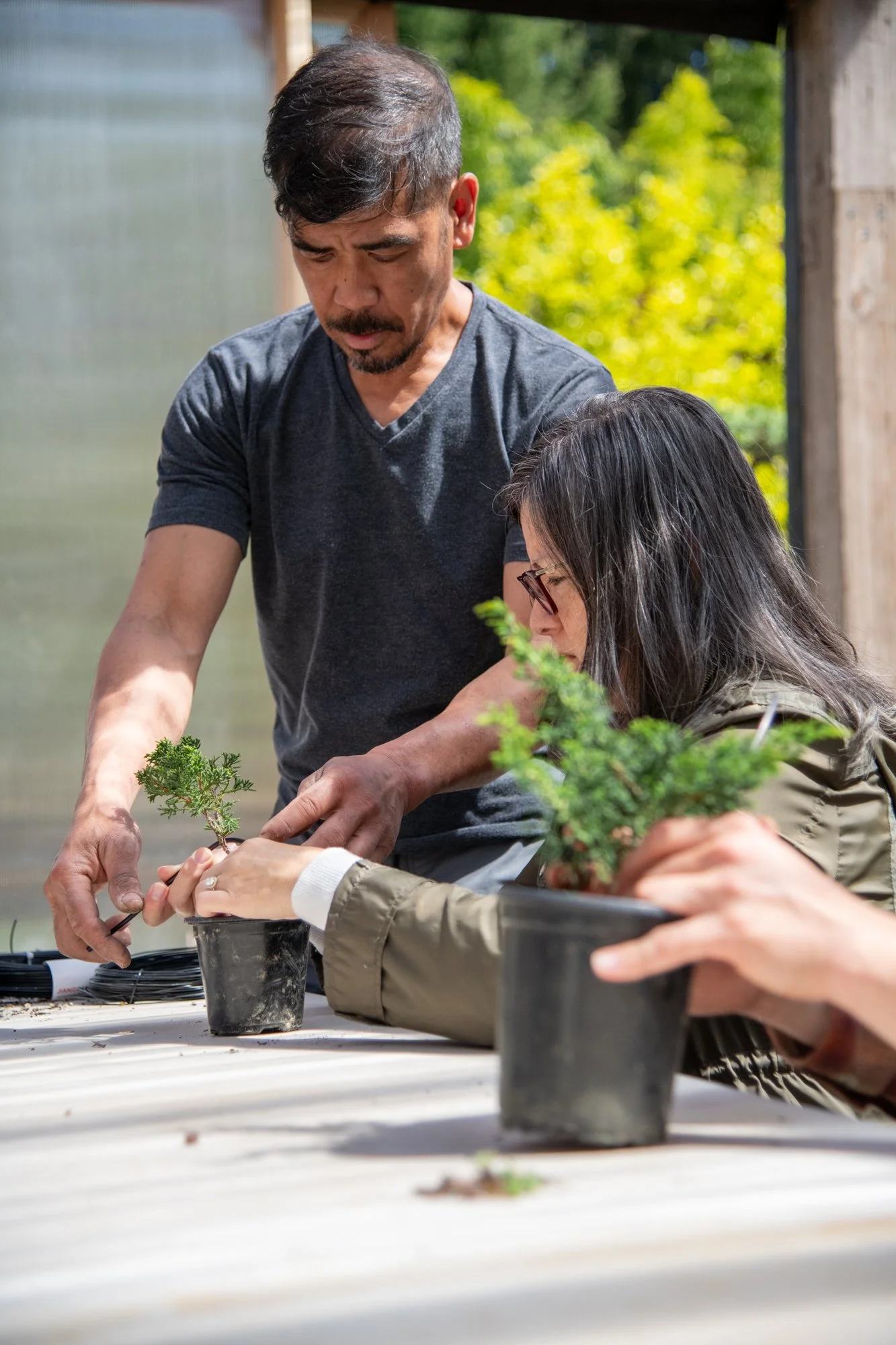 bonsai-105.jpg