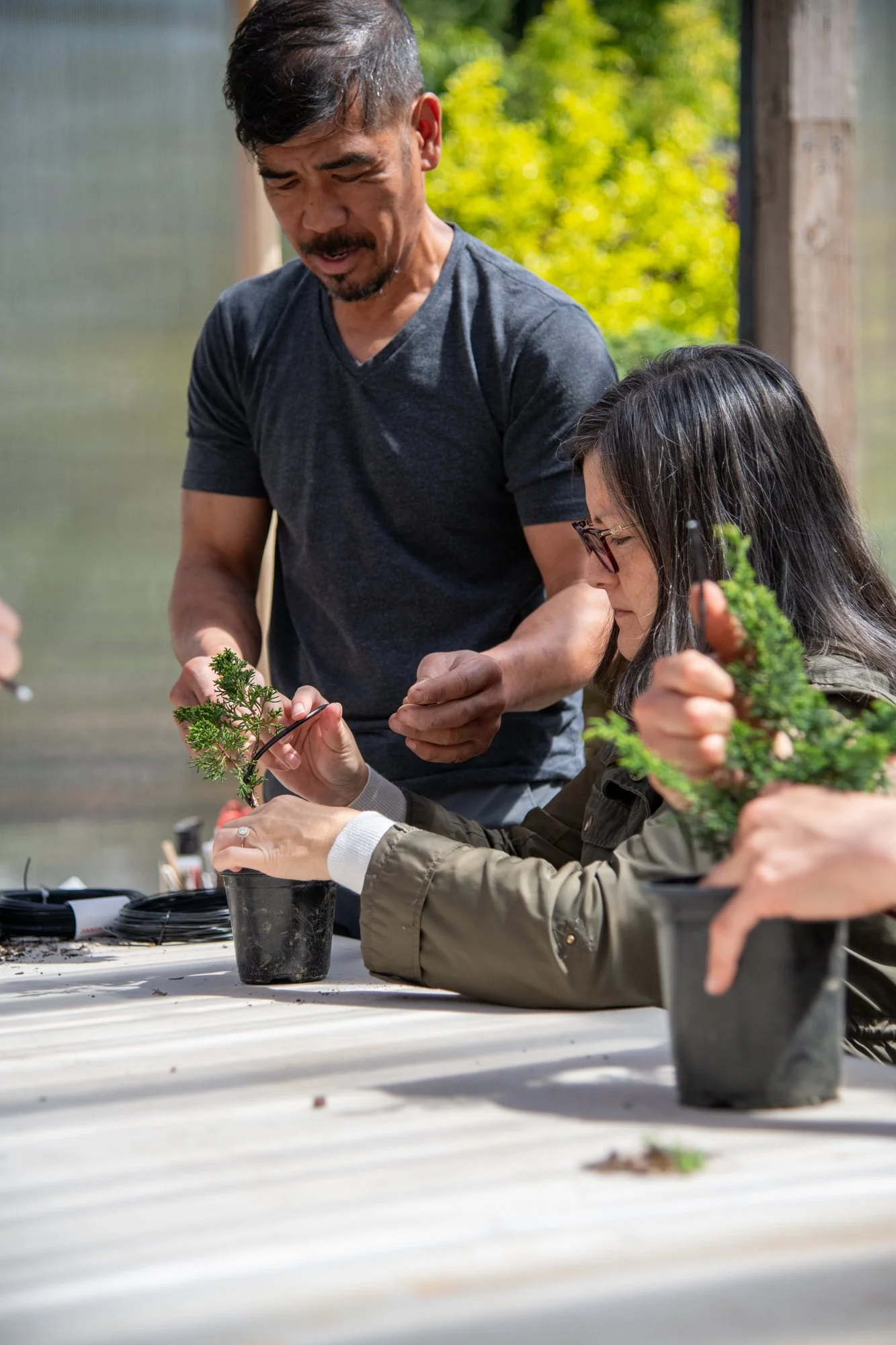 bonsai-106.jpg