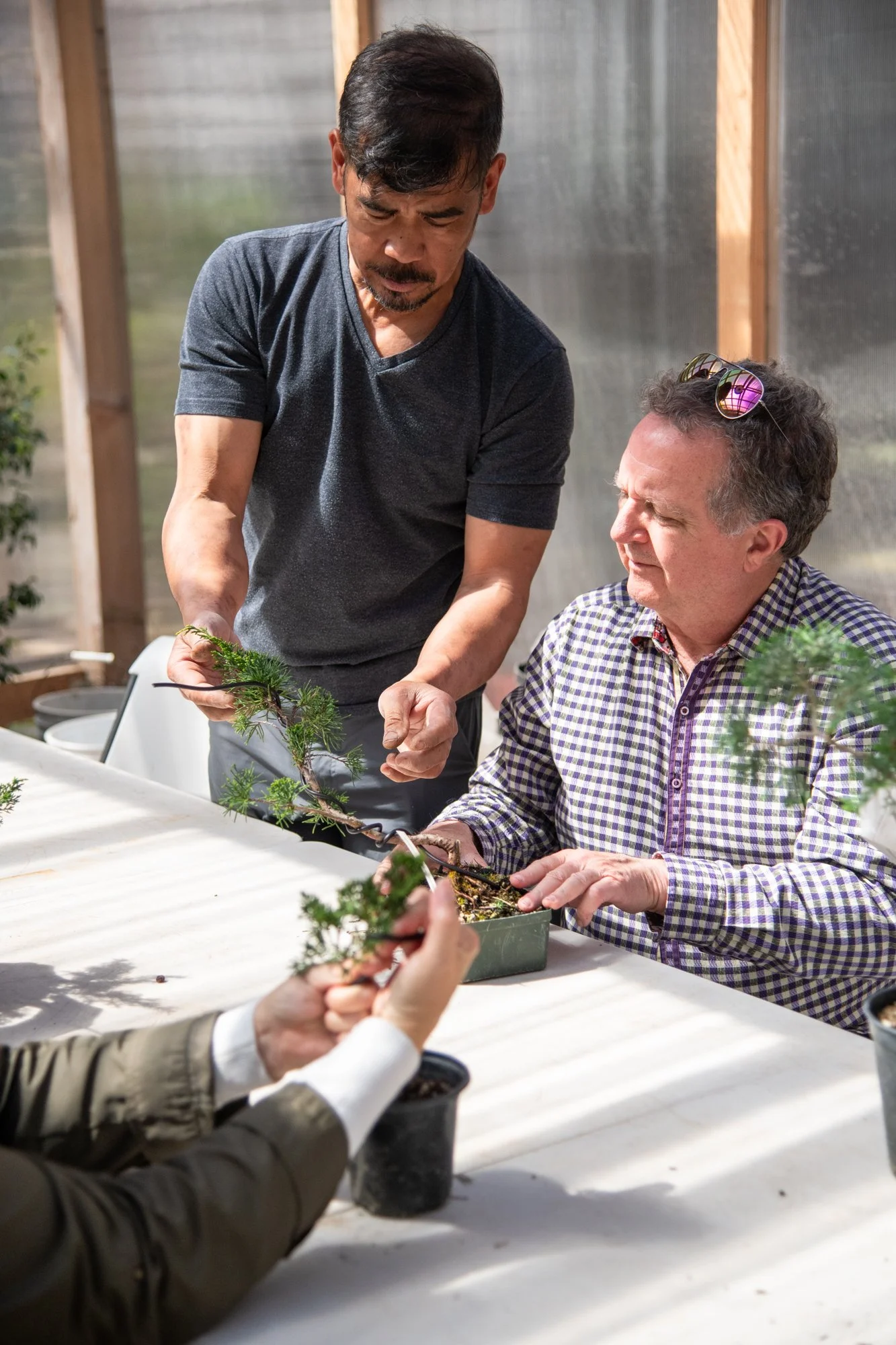 bonsai-109.jpg