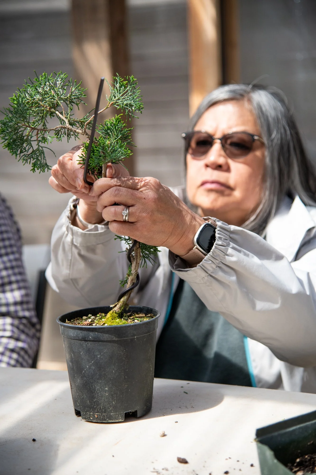 bonsai-110.jpg