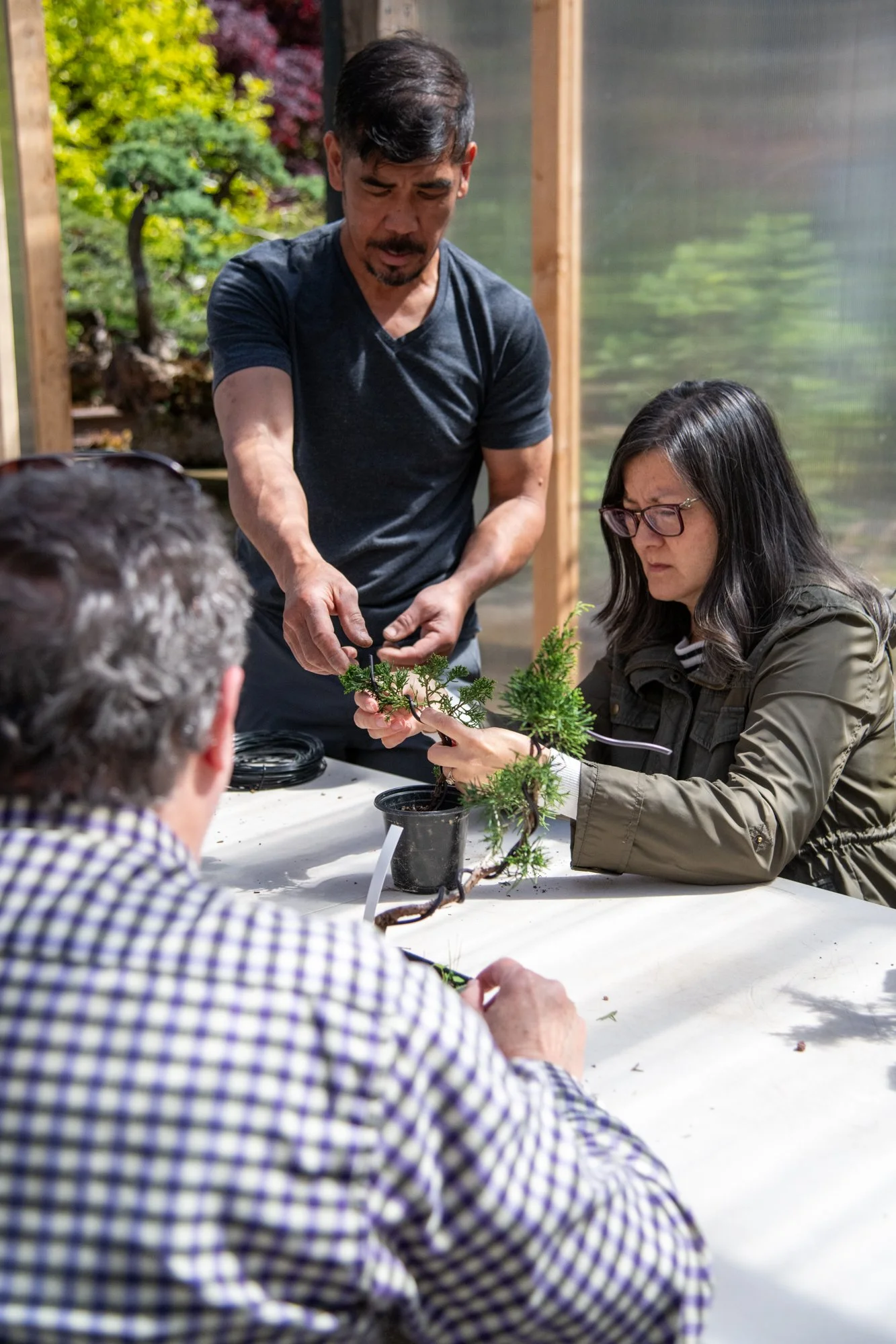 bonsai-116.jpg