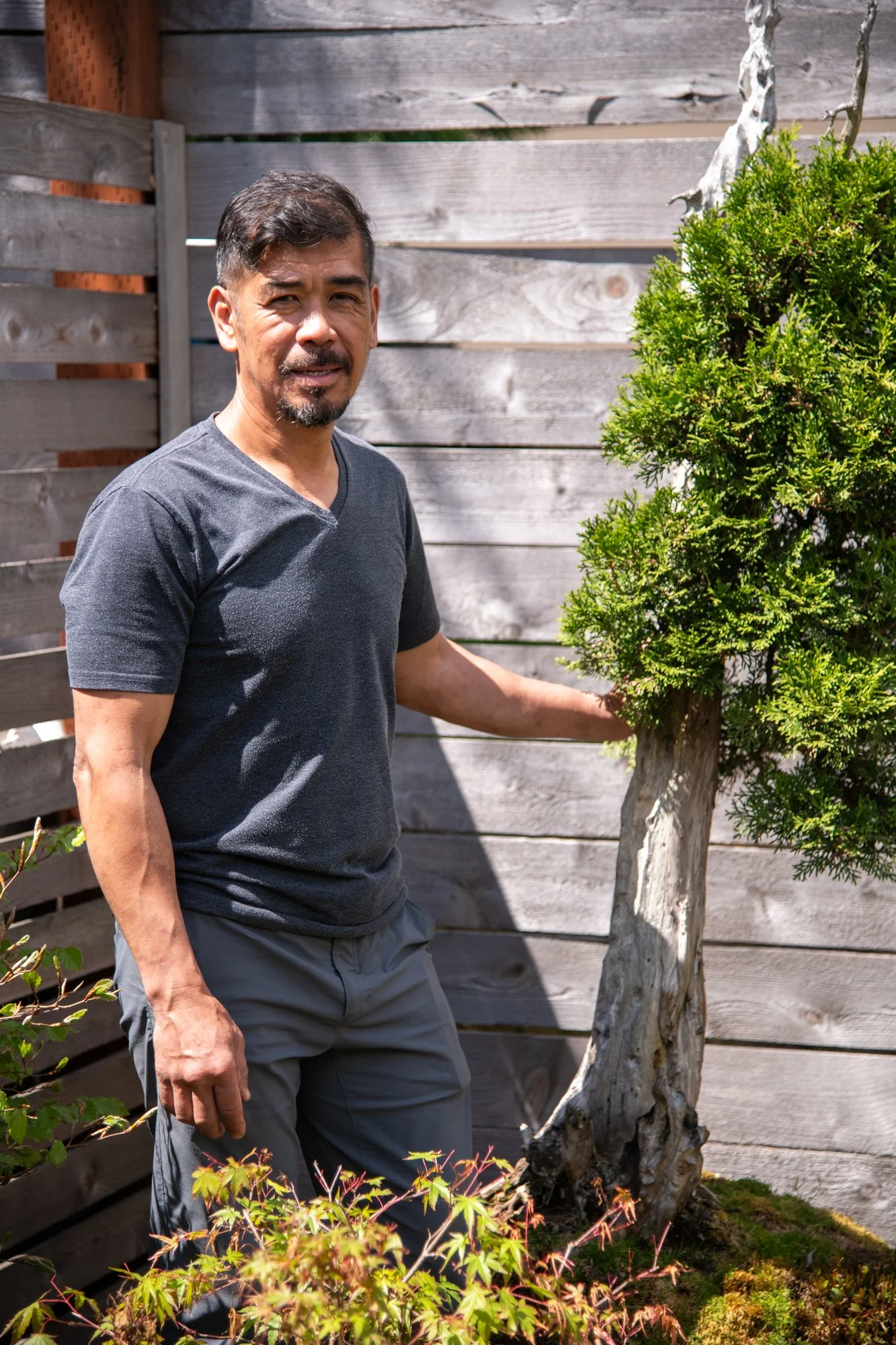 bonsai-144.jpg