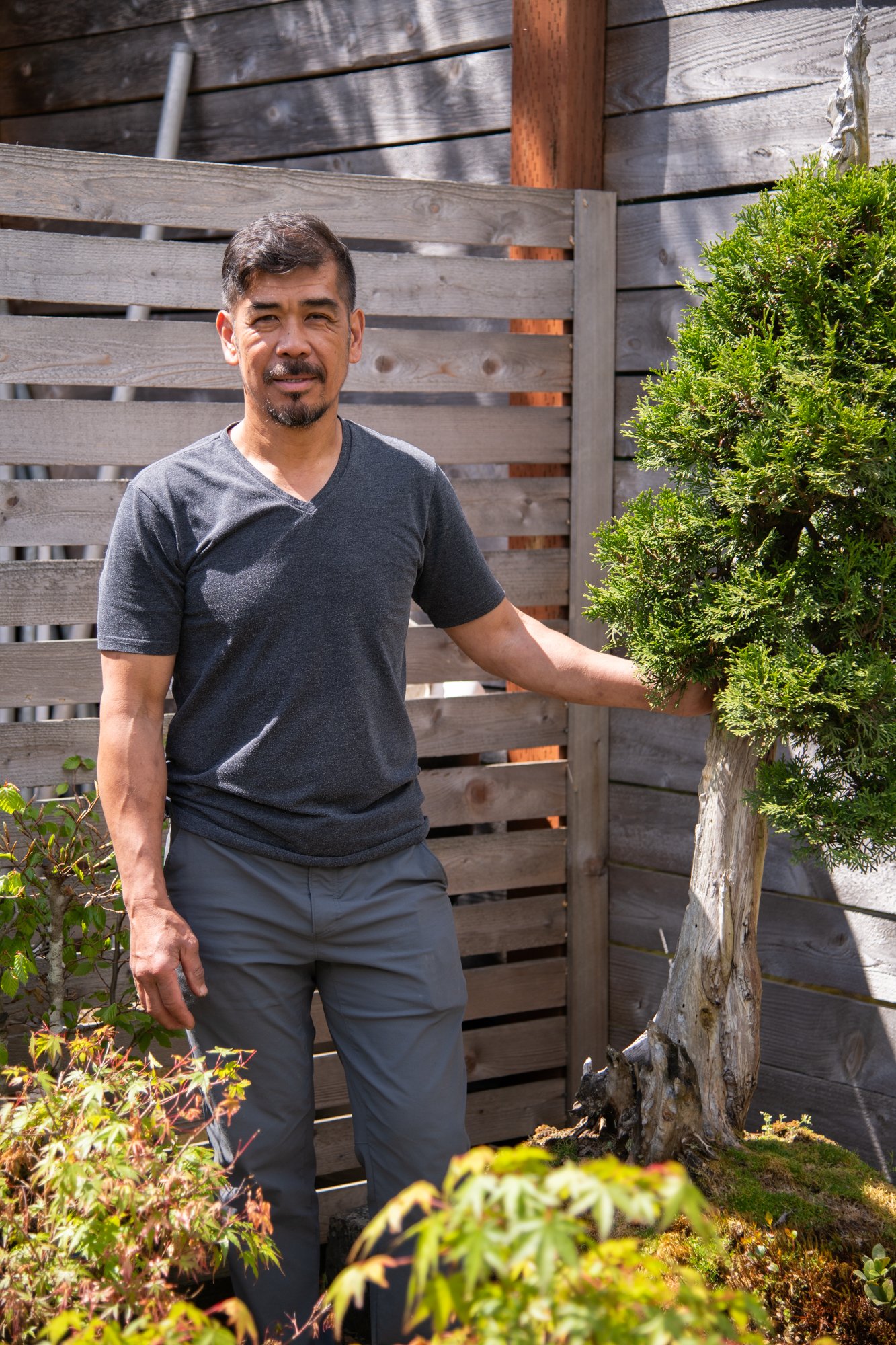 bonsai-145.jpg