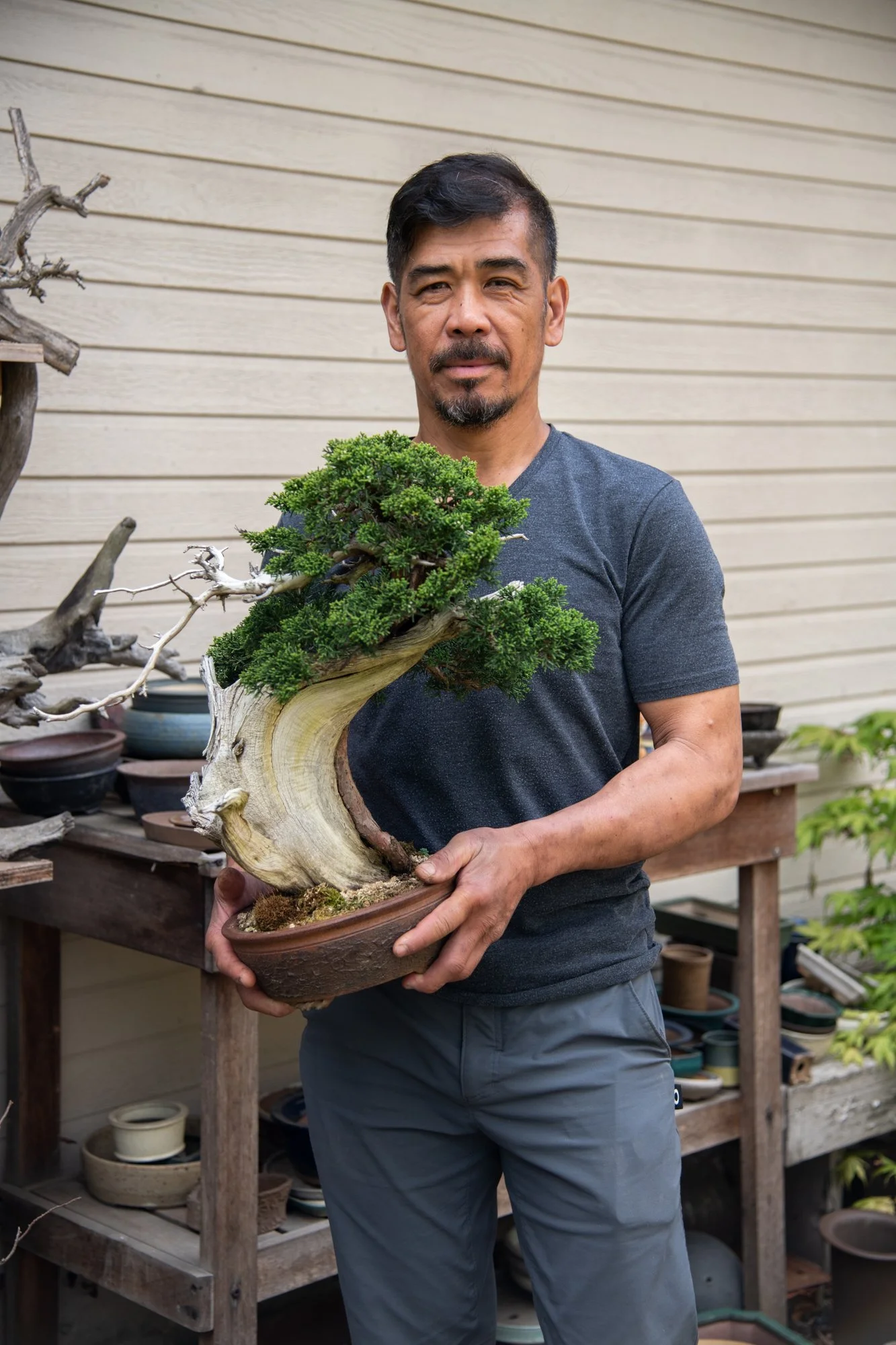 bonsai-147.jpg