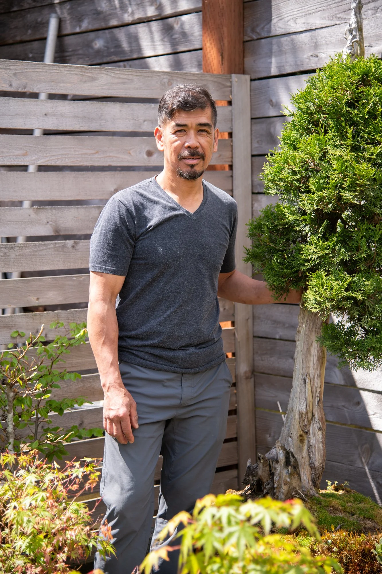 bonsai-146.jpg