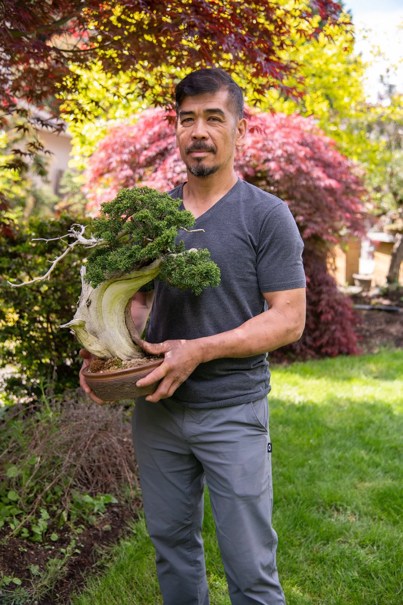 bonsai-150.jpg