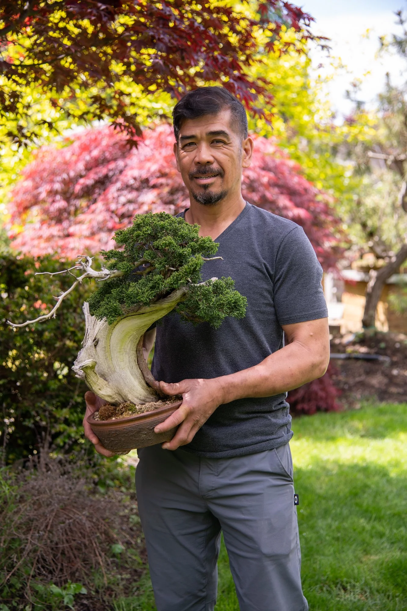 bonsai-152.jpg