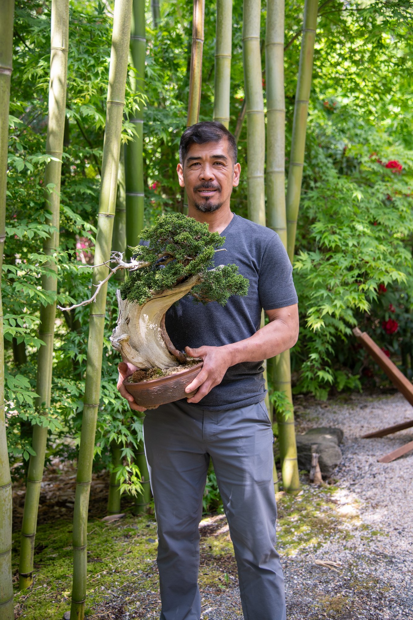 bonsai-153.jpg