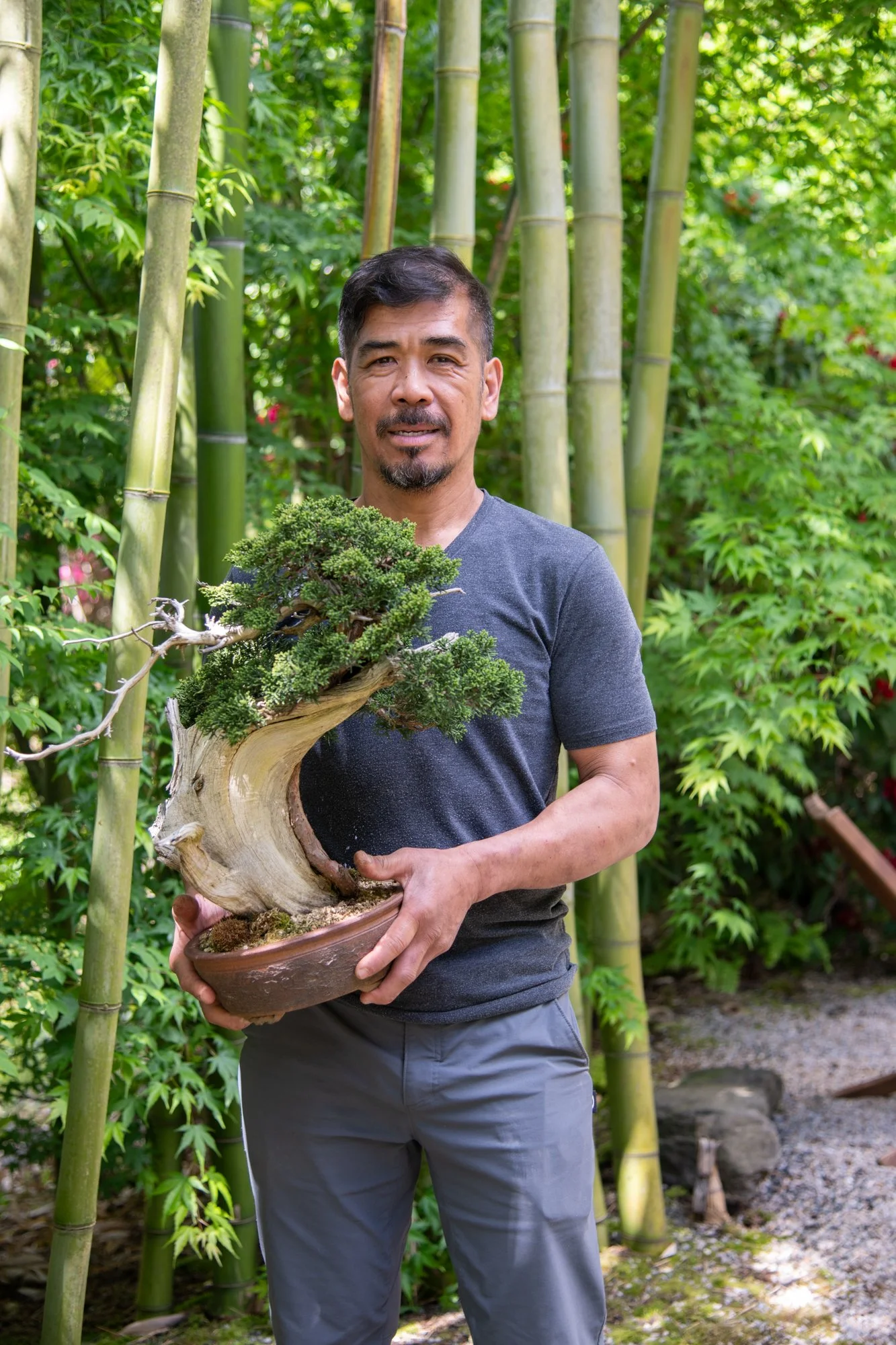 bonsai-154.jpg