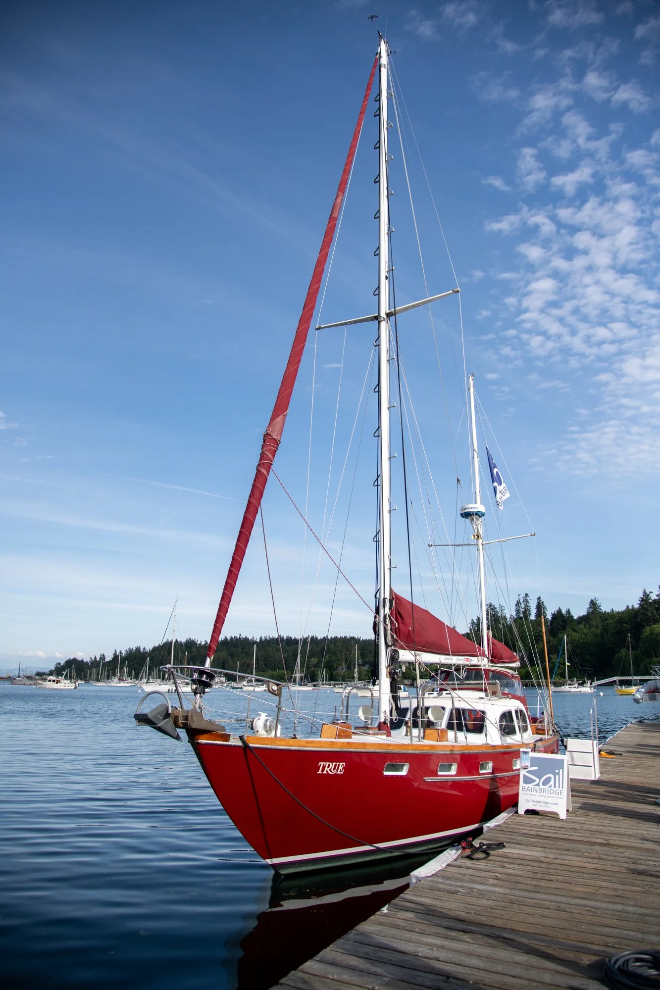 navidbaraty-sailbainbridge-001.jpg
