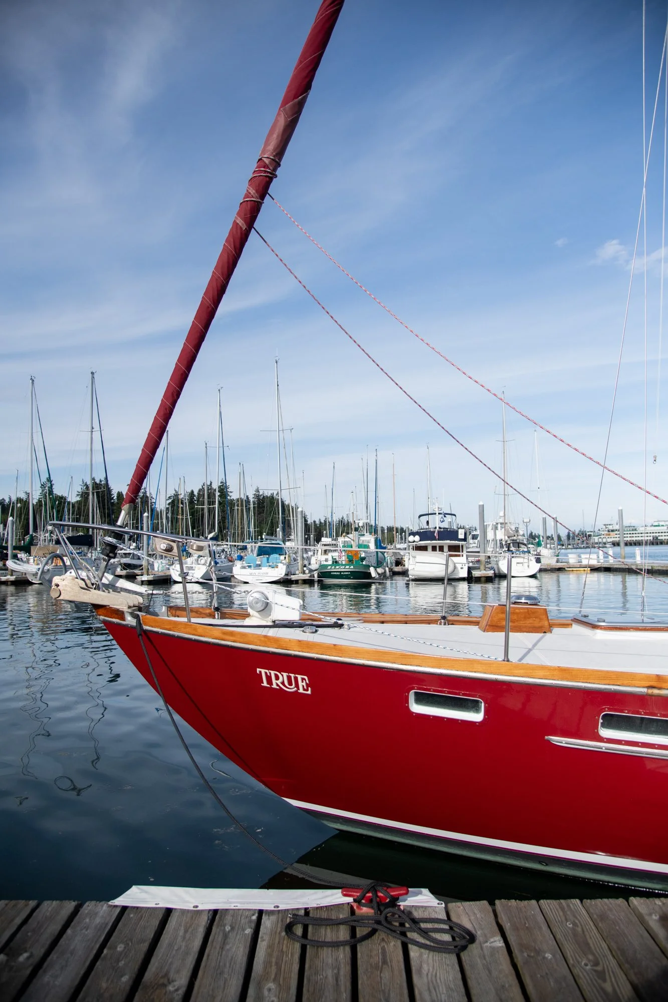 navidbaraty-sailbainbridge-003.jpg