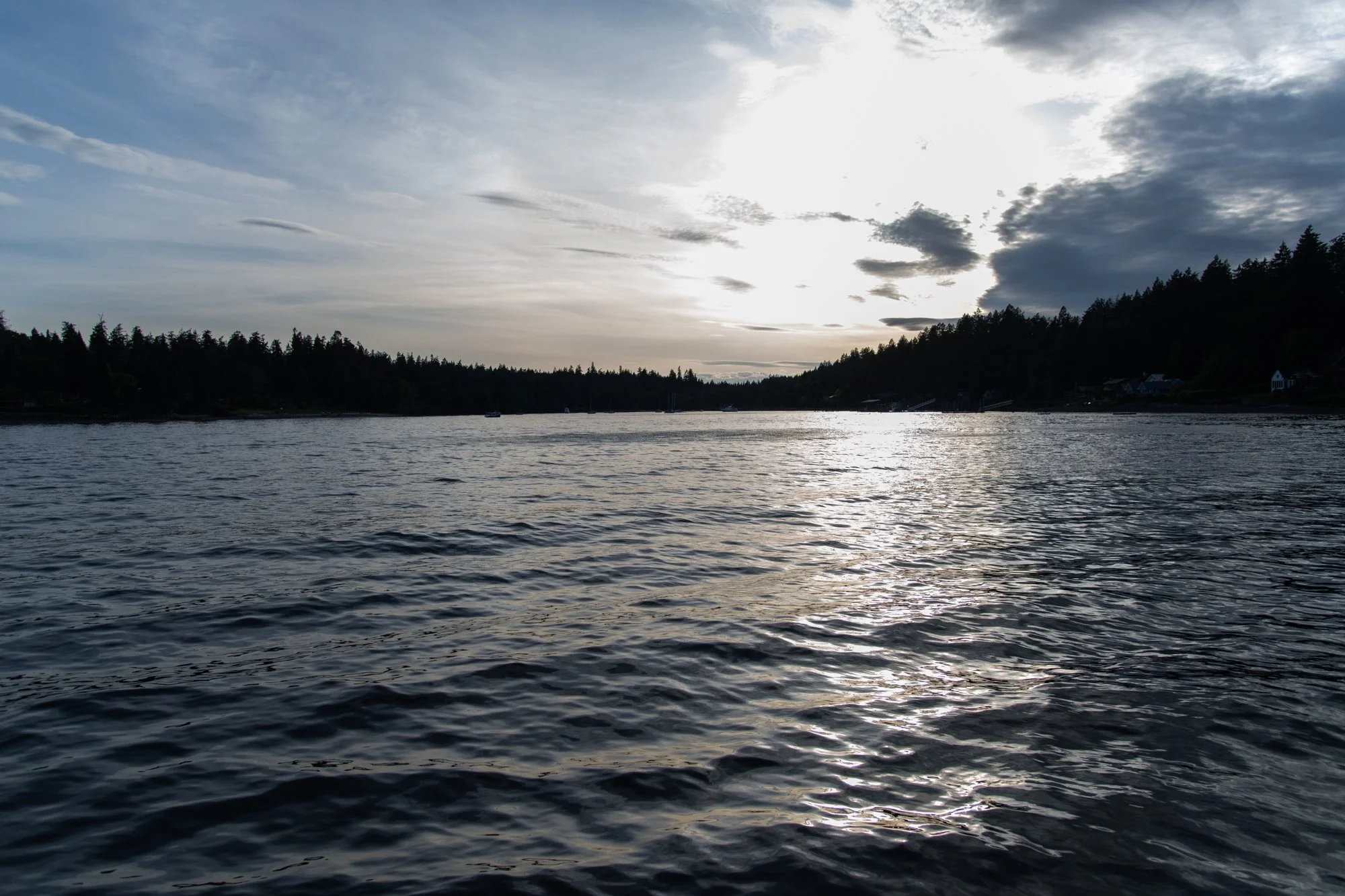 navidbaraty-sailbainbridge-113.jpg