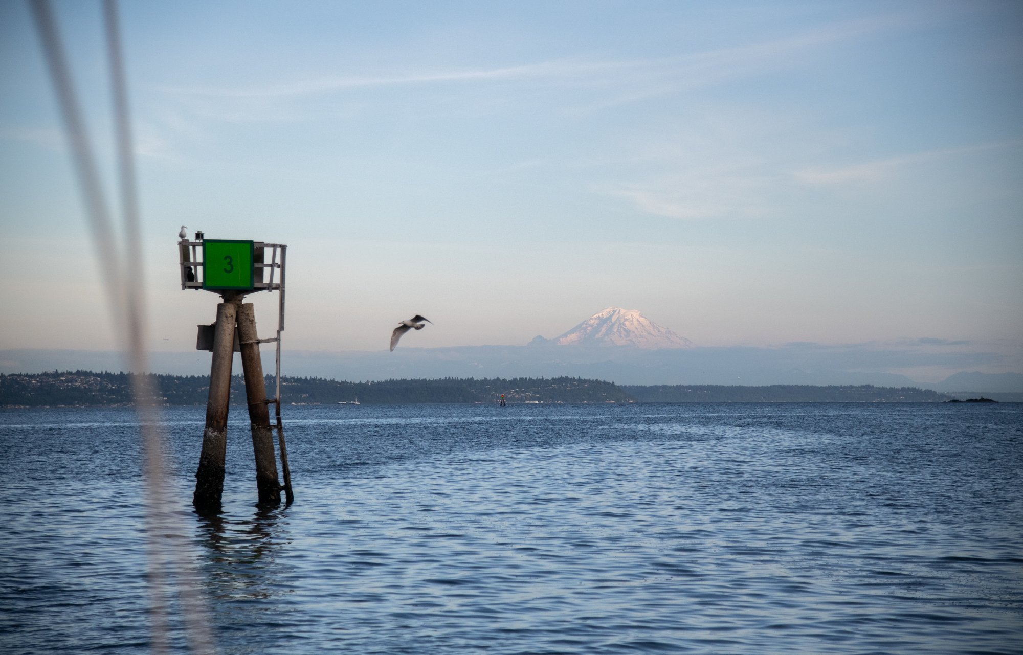 navidbaraty-sailbainbridge-195.jpg